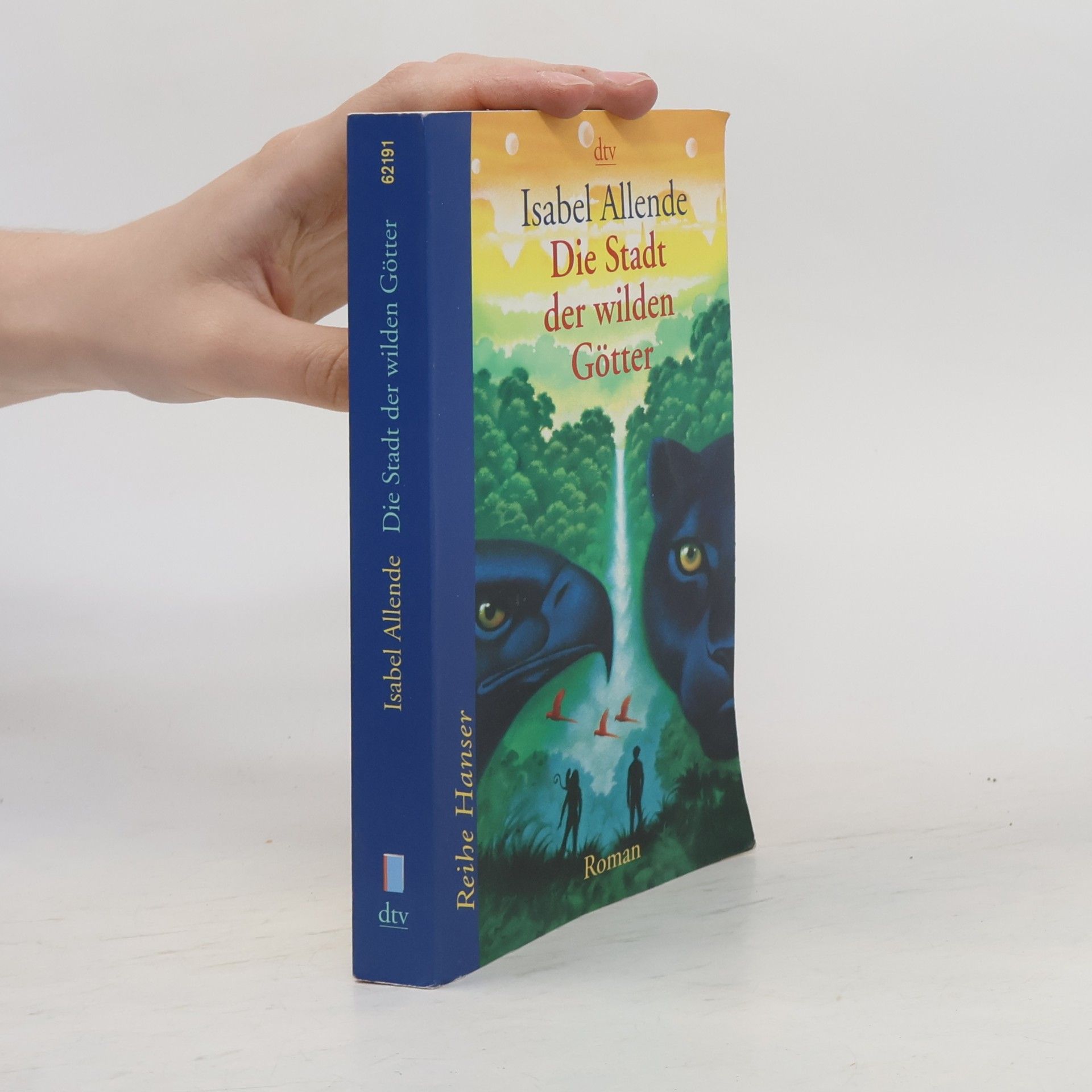 Isabel Allende Die Stadt der wilden Götter