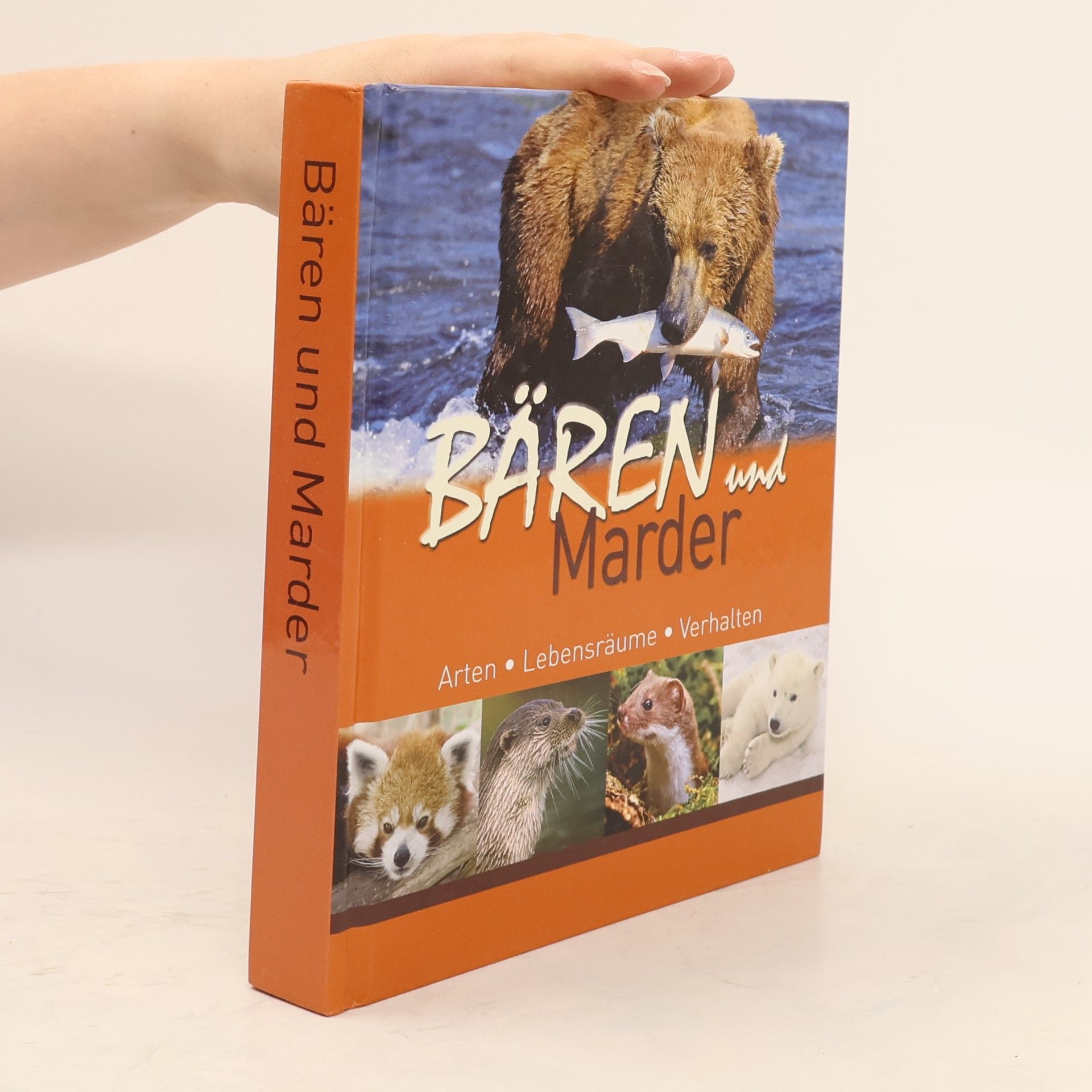 Autorenkollektiv Bären und Marder. Arten. Lebensräume. Verhalen