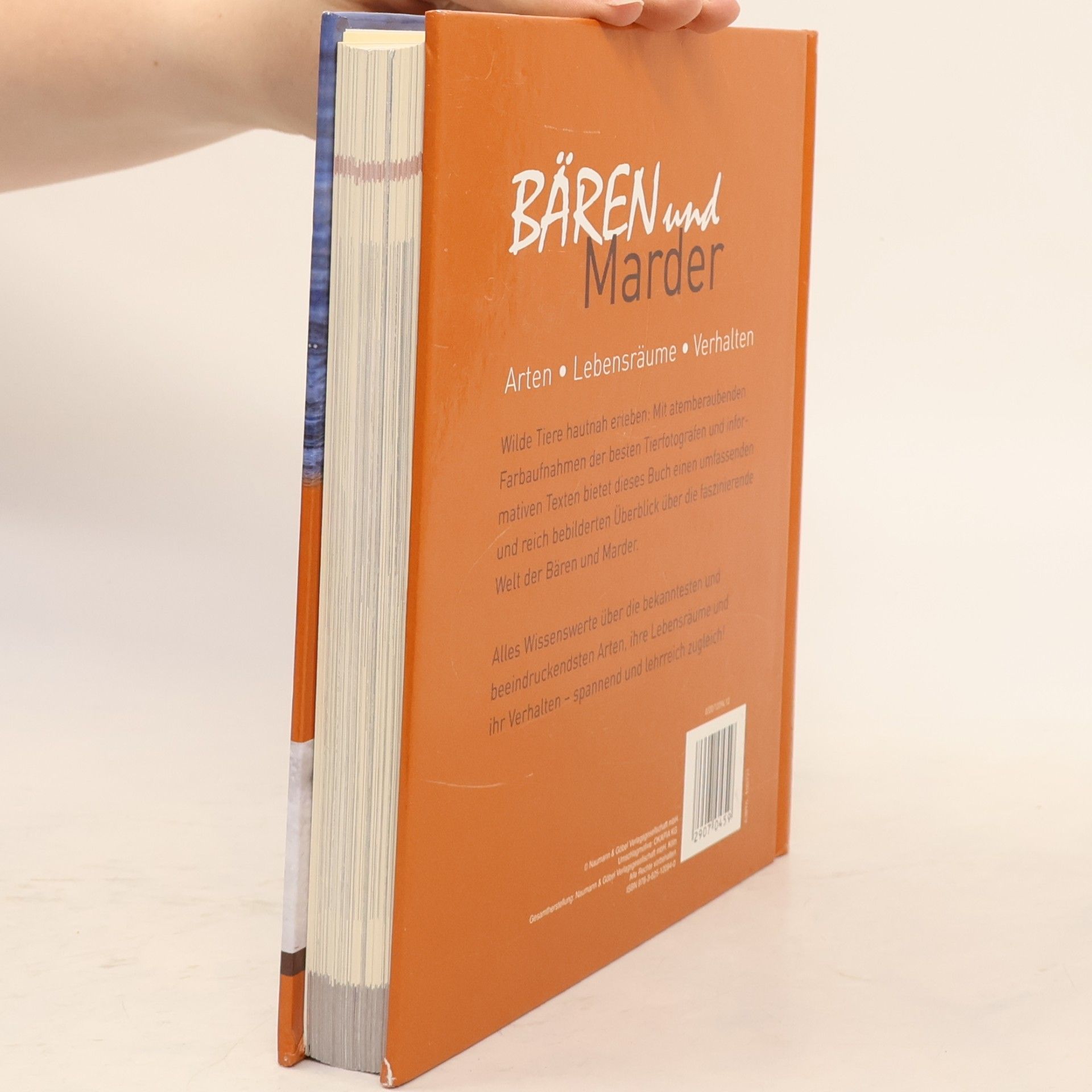 Autorenkollektiv Bären und Marder. Arten. Lebensräume. Verhalen