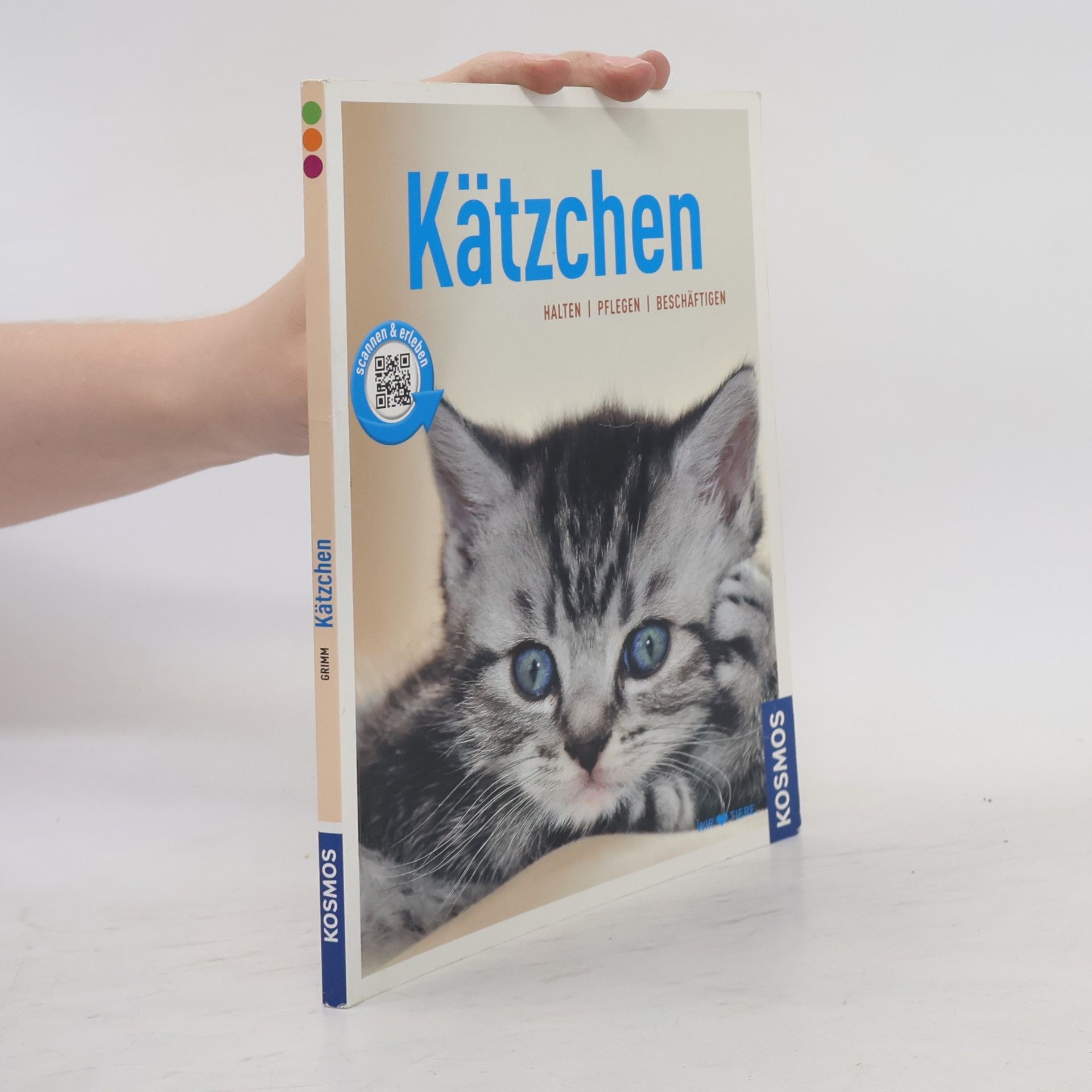 Hannelore Grimm Kätzchen