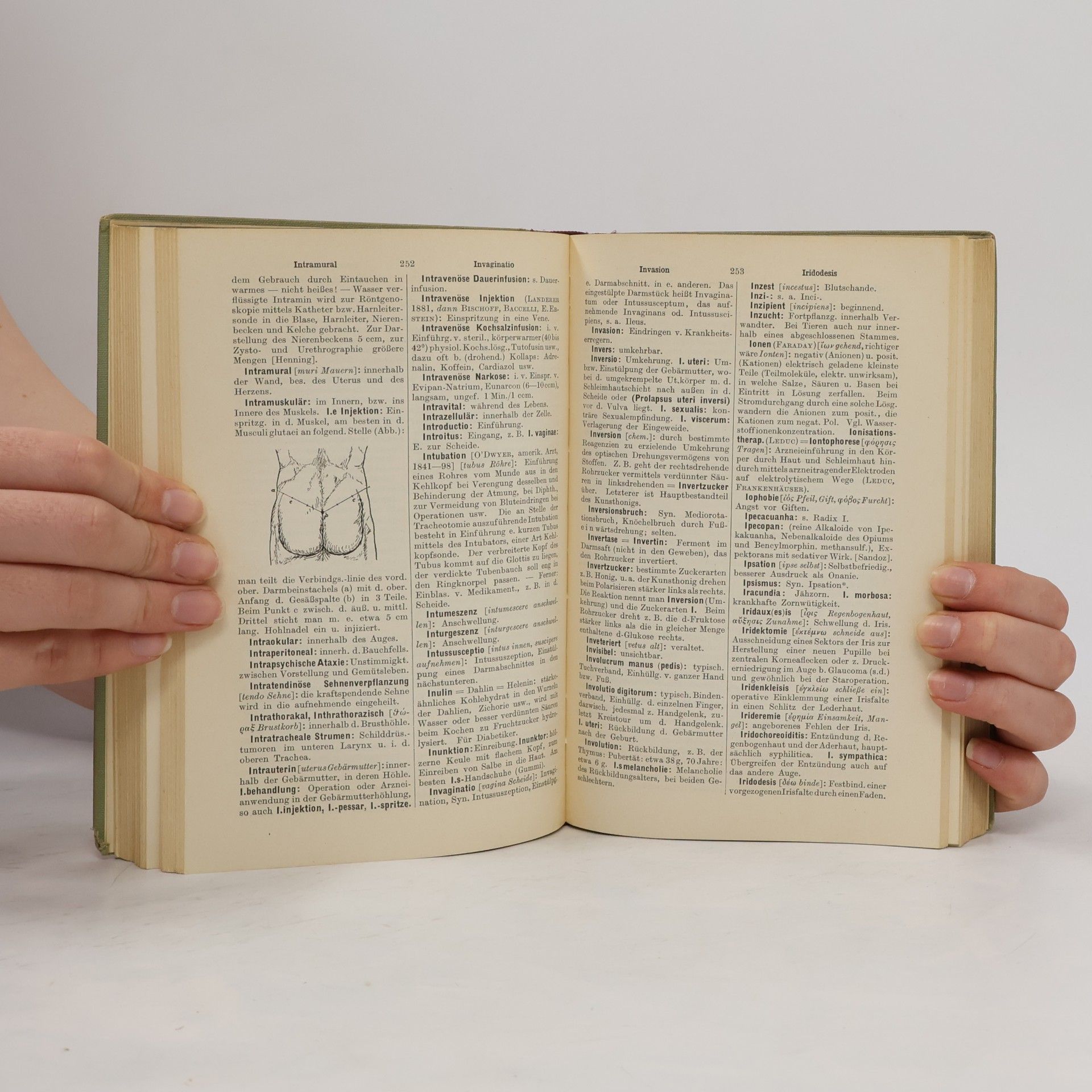 Willibald Pschyrembel Klinisches Wörterbuch