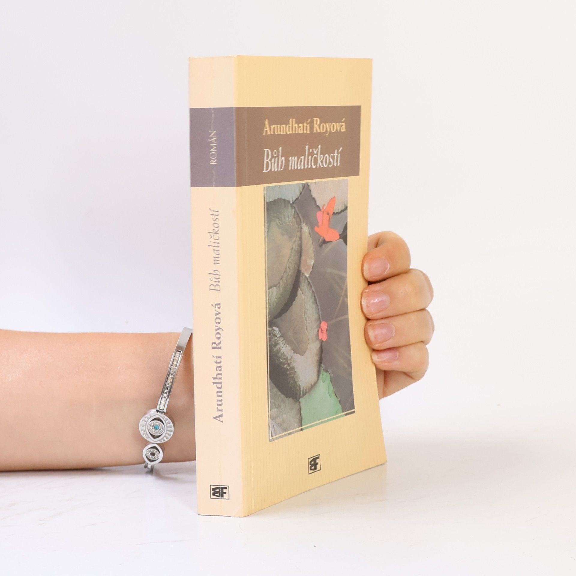 Arundhati Roy Bůh maličkostí