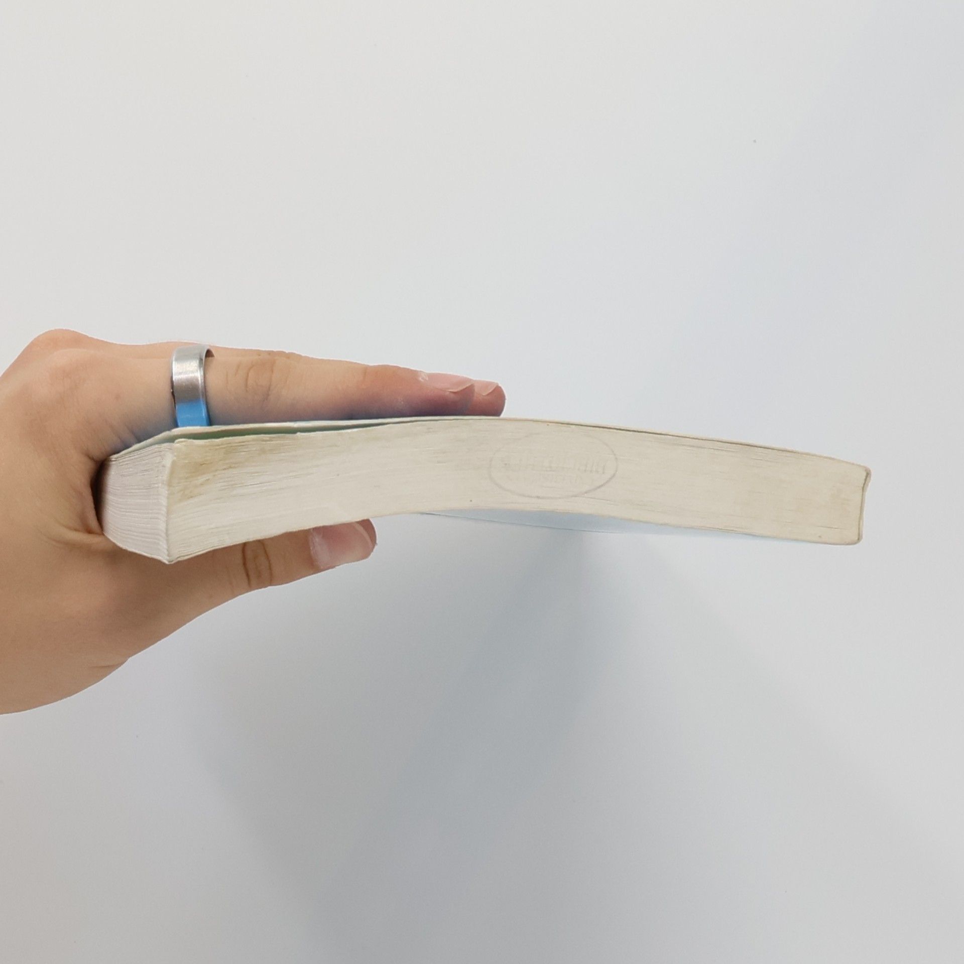 Markus Reisenleitner Handbuch zur neueren Geschichte Österreichs - 1: Frühe Neuzeit, Reformation und Gegenreformation