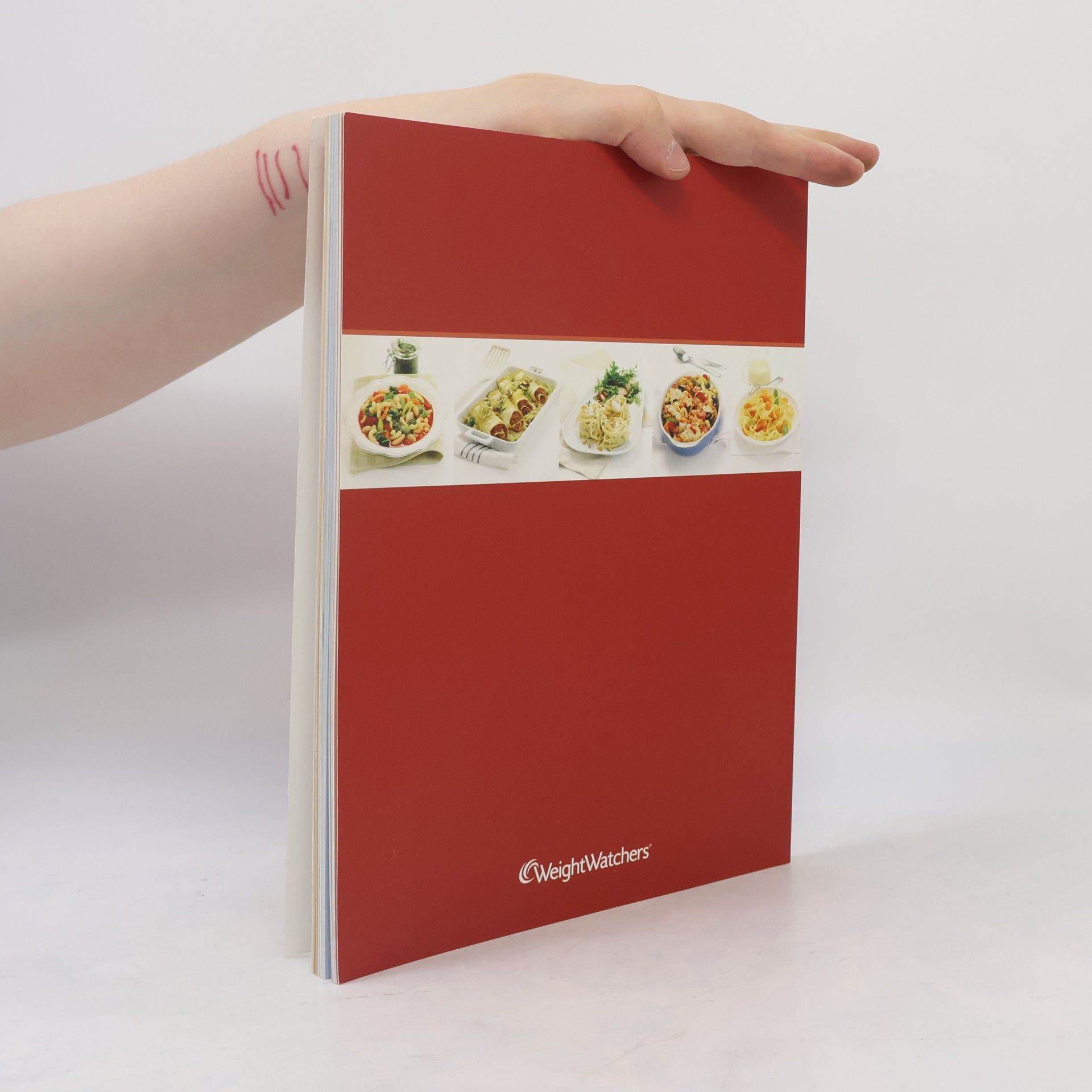 Autorenkollektiv Das große Nudelbuch