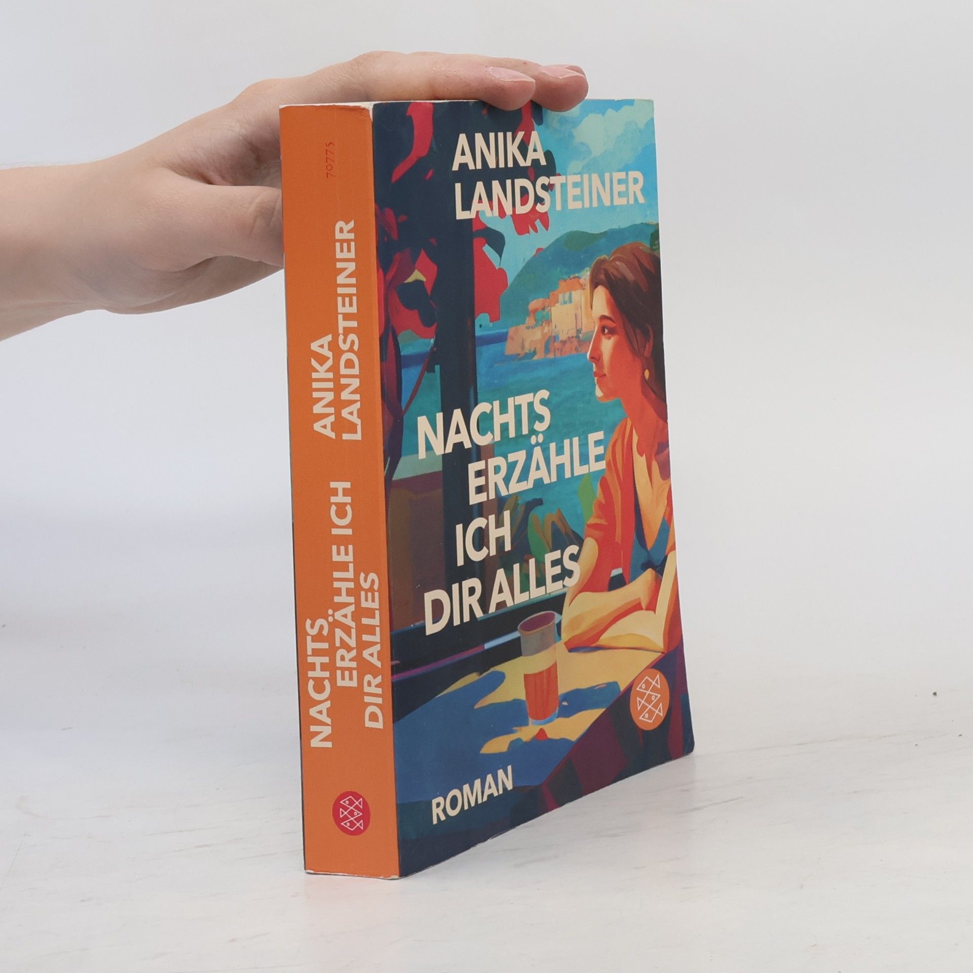 Anika Landsteiner Nachts erzähle ich dir alles