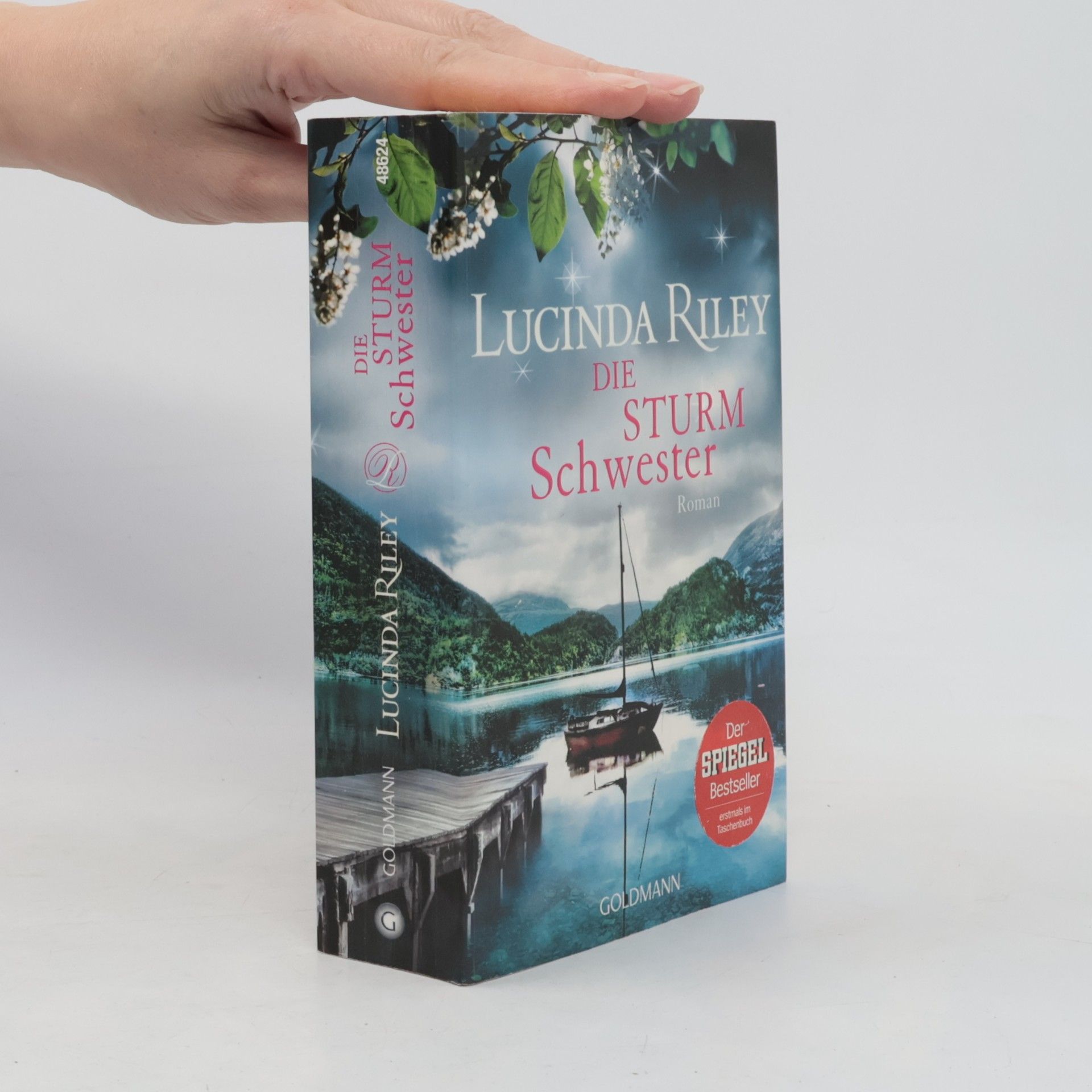 Lucinda Riley Die Sturmschwester