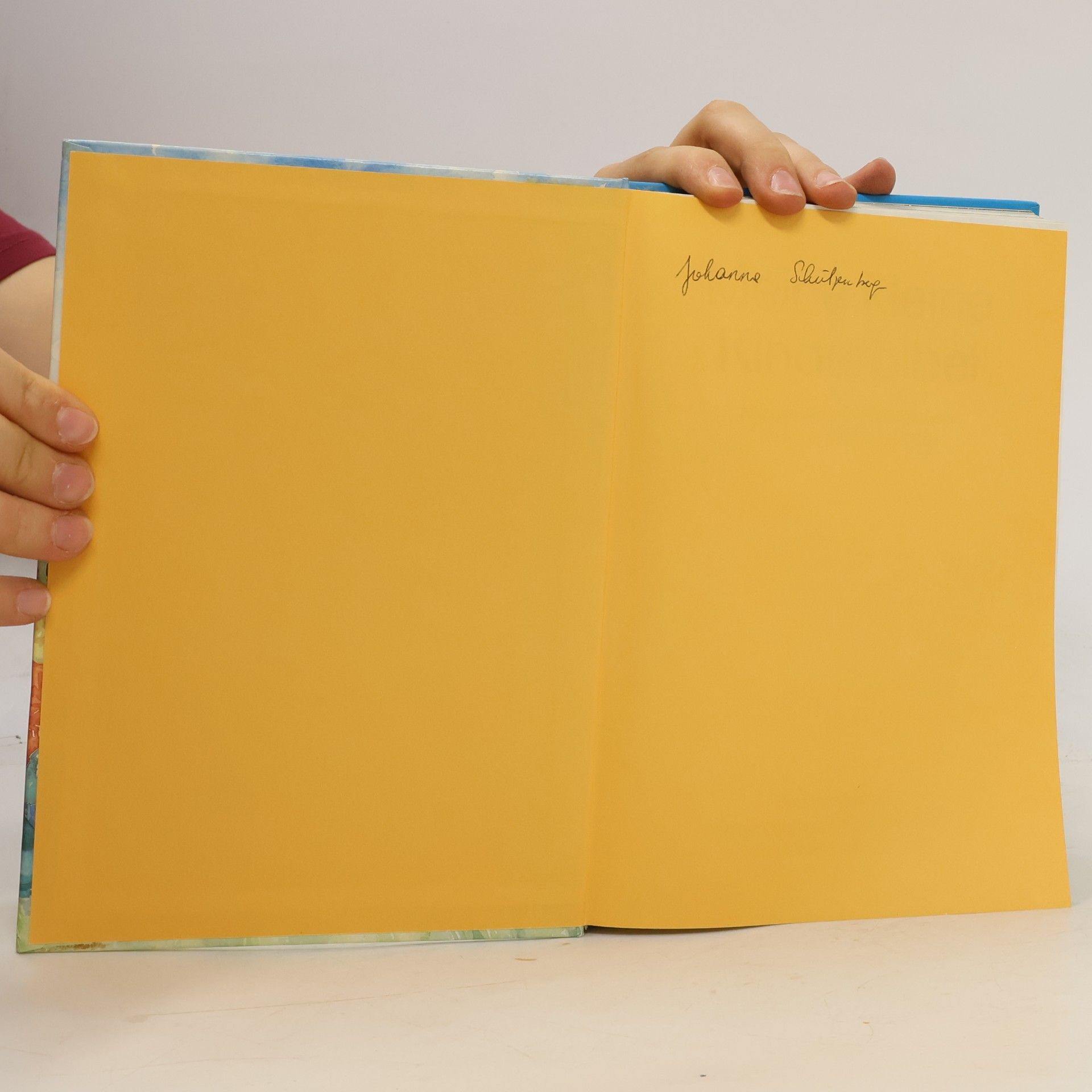 David Alexander Meine kleine Kinderbibel