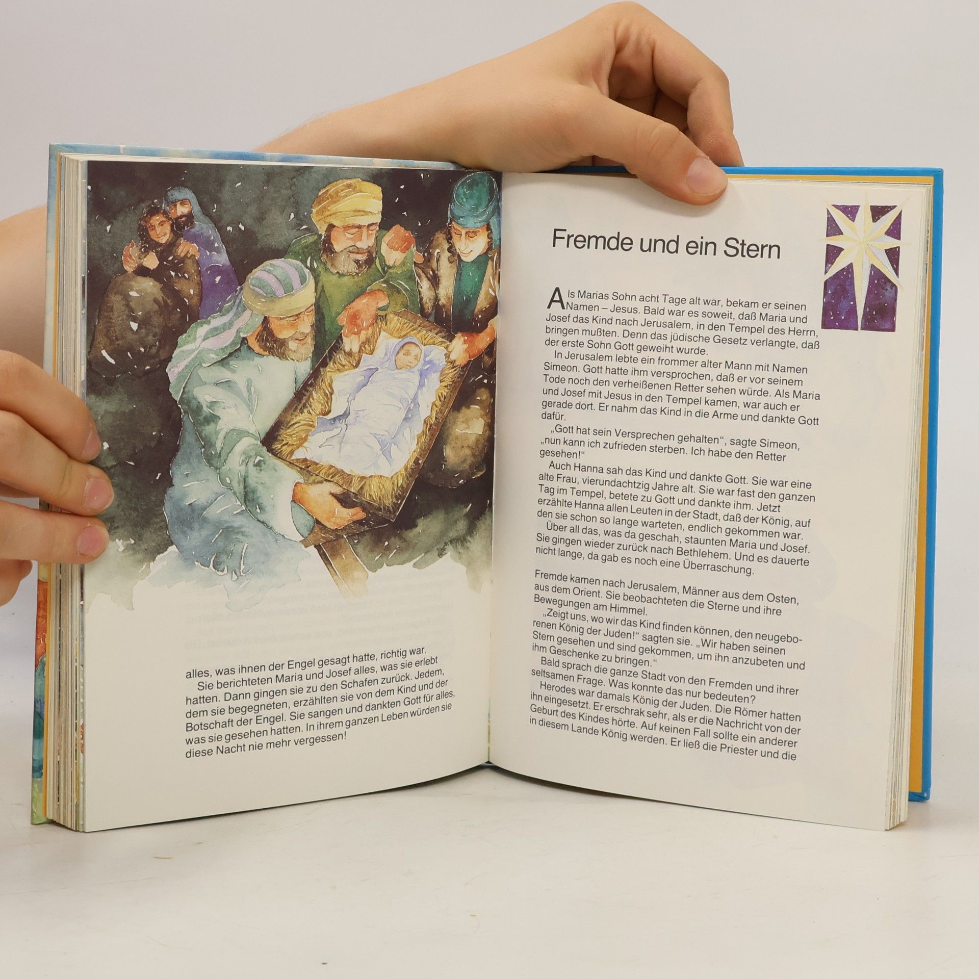 David Alexander Meine kleine Kinderbibel