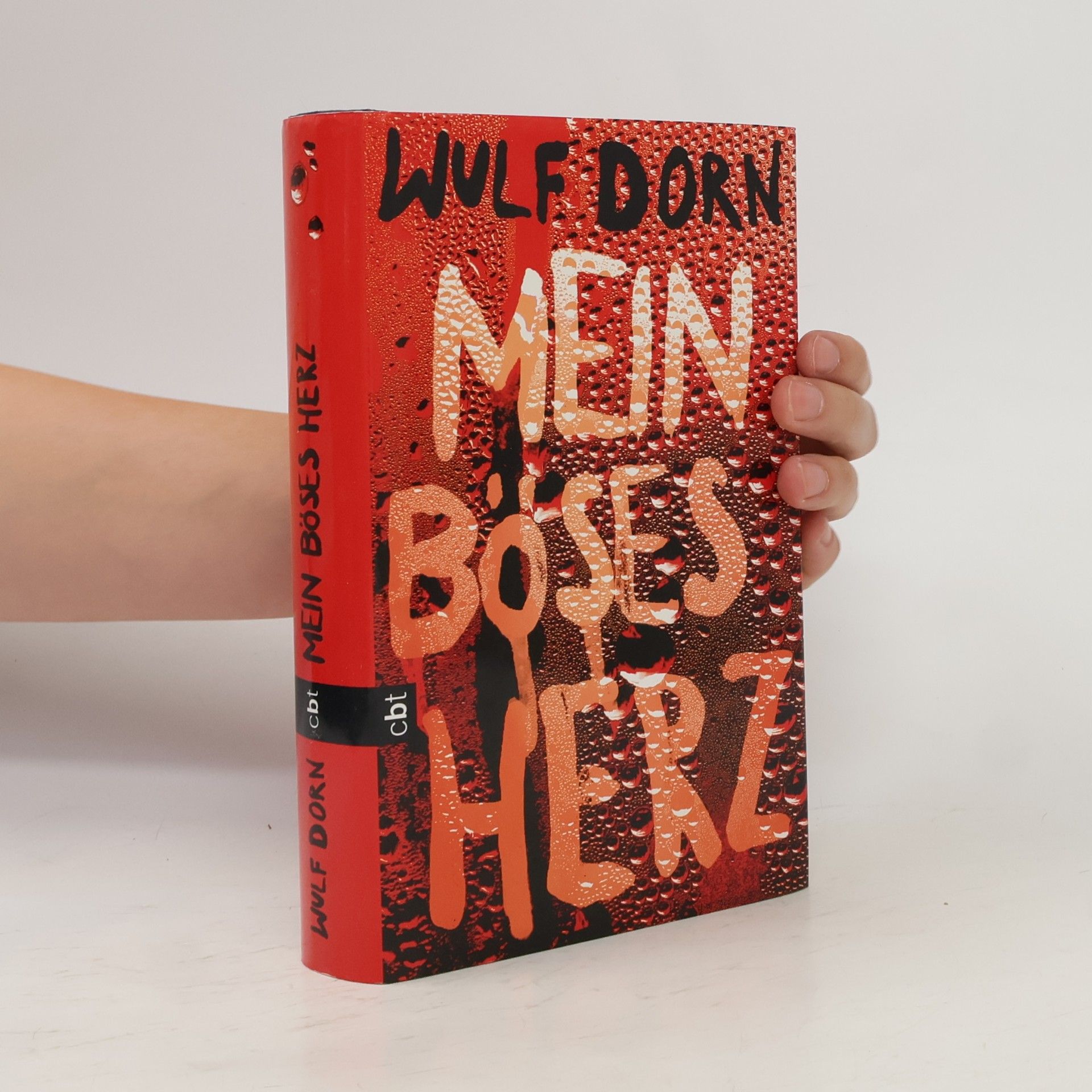 Wulf Dorn Mein böses Herz