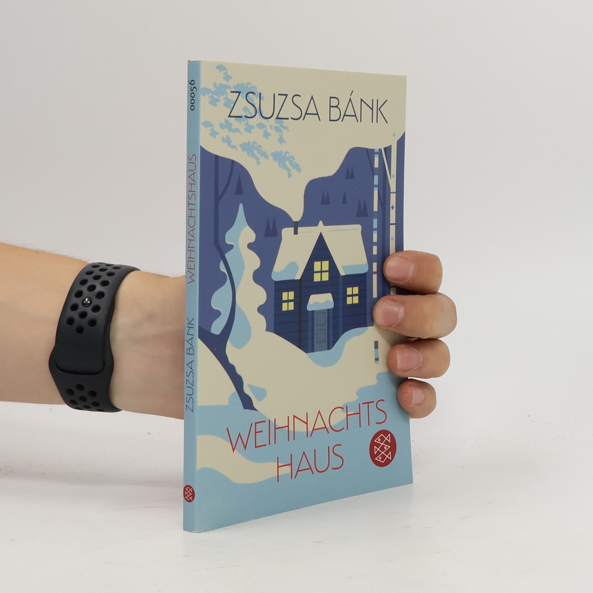 Zsuzsa Bánk Weihnachtshaus