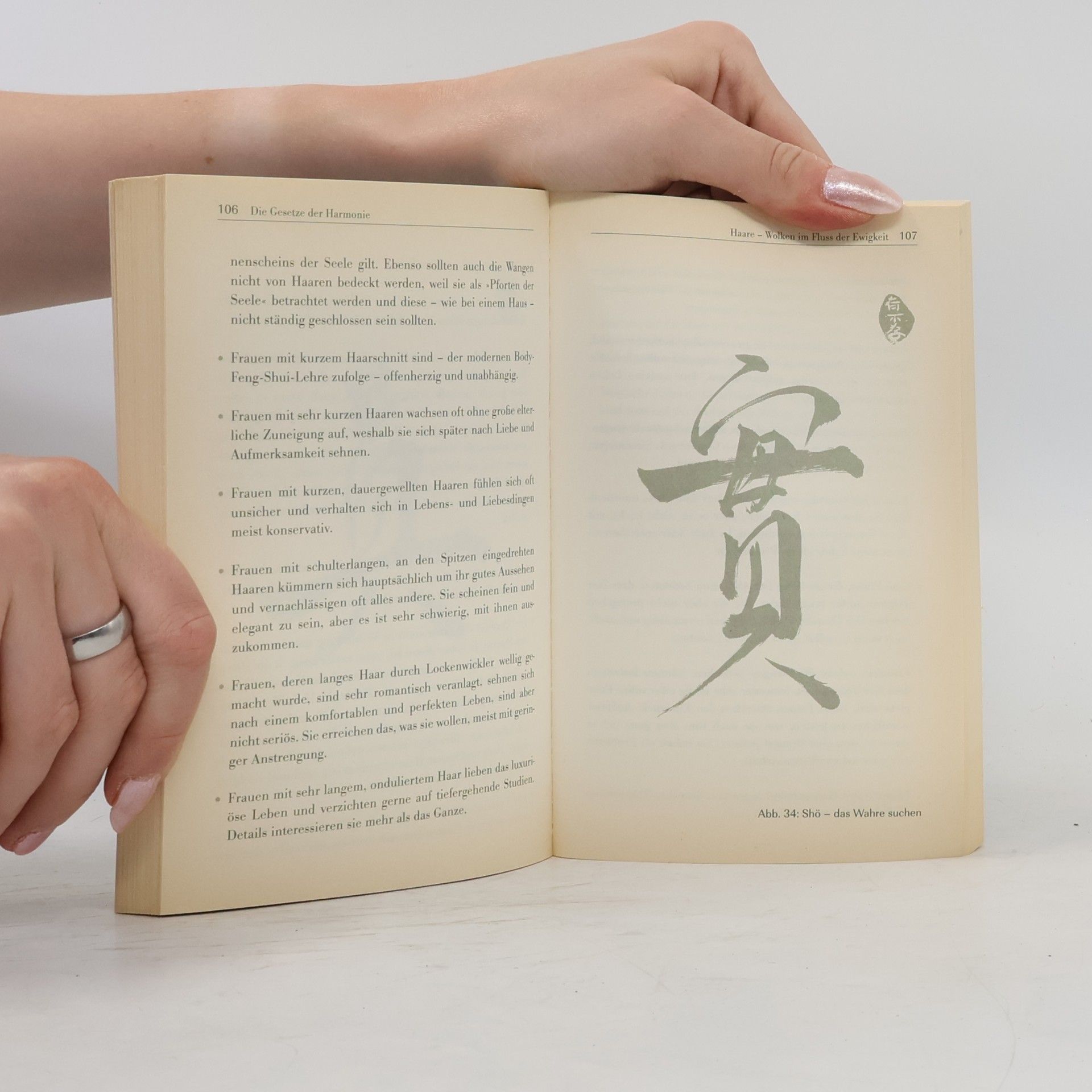 Chao Hsiu Chen Feng Shui der Seele
