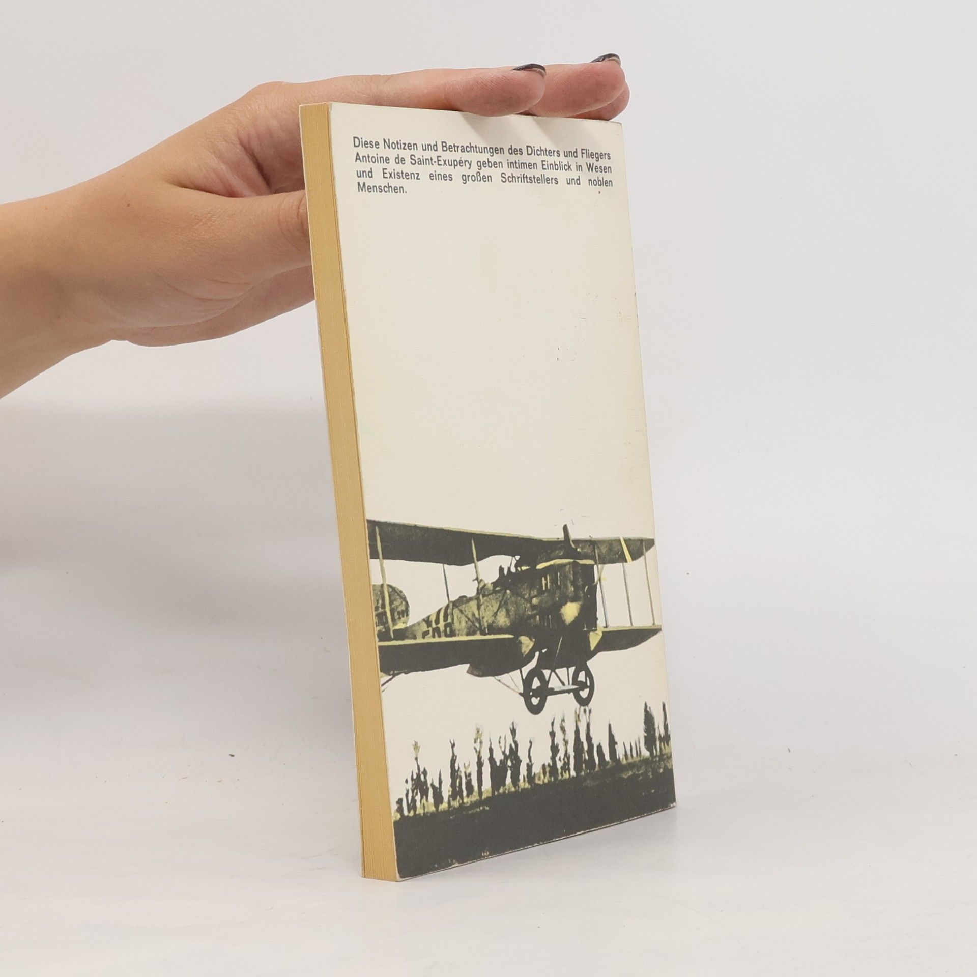 Antoine de Saint-Exupéry Carnets