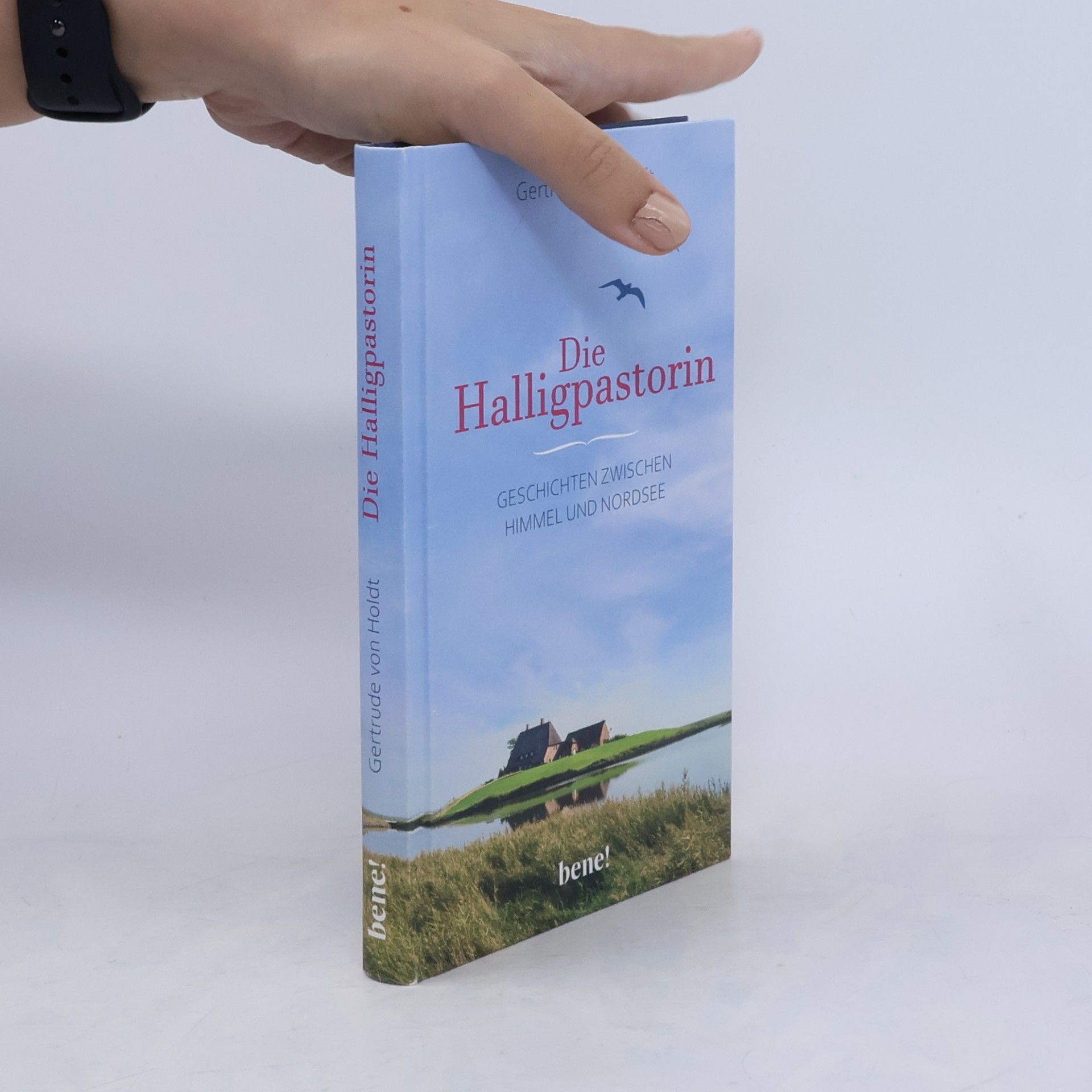 Gertrude von Holdt-Schermuly Die Halligpastorin