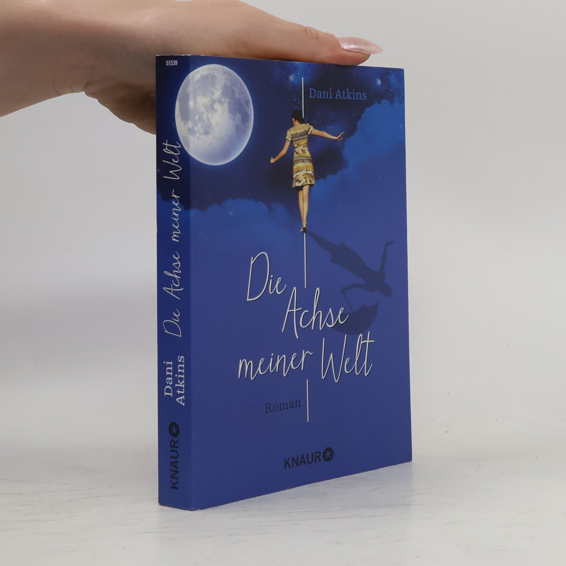 Dani Atkins Die Achse meiner Welt