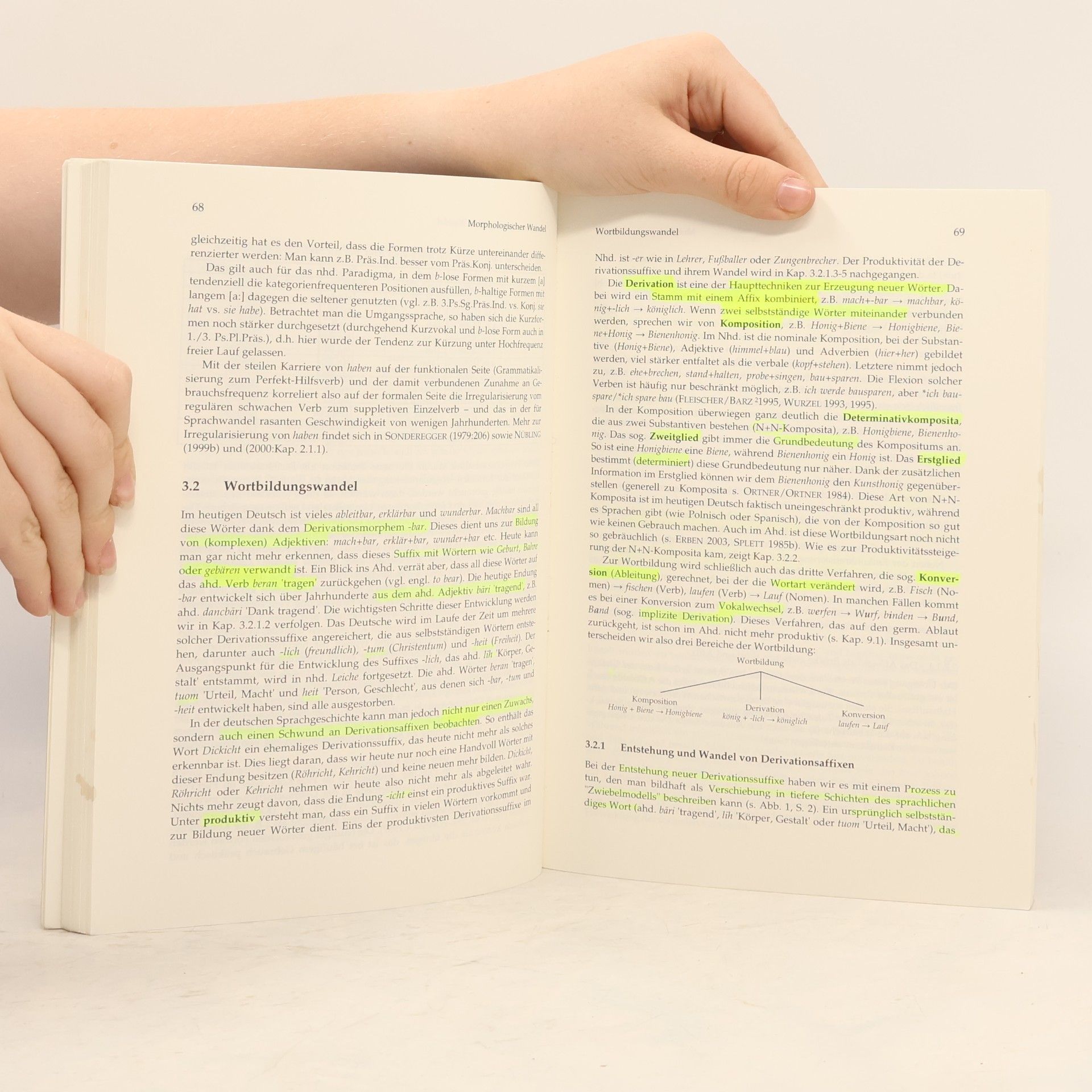 Damaris Nübling Narr Studienbücher: Historische Sprachwissenschaft des Deutschen