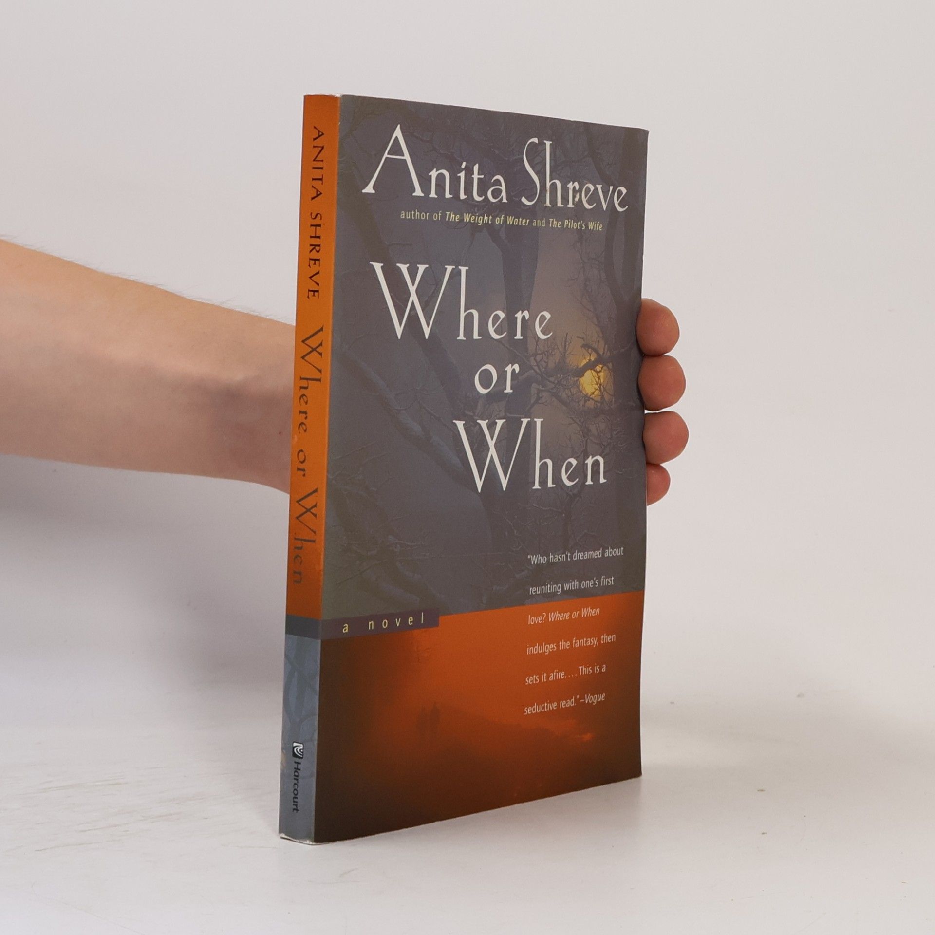 Anita Shreve Where or When