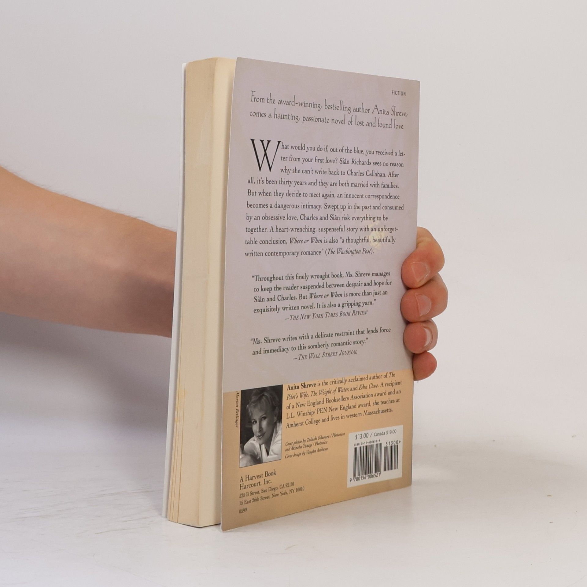 Anita Shreve Where or When