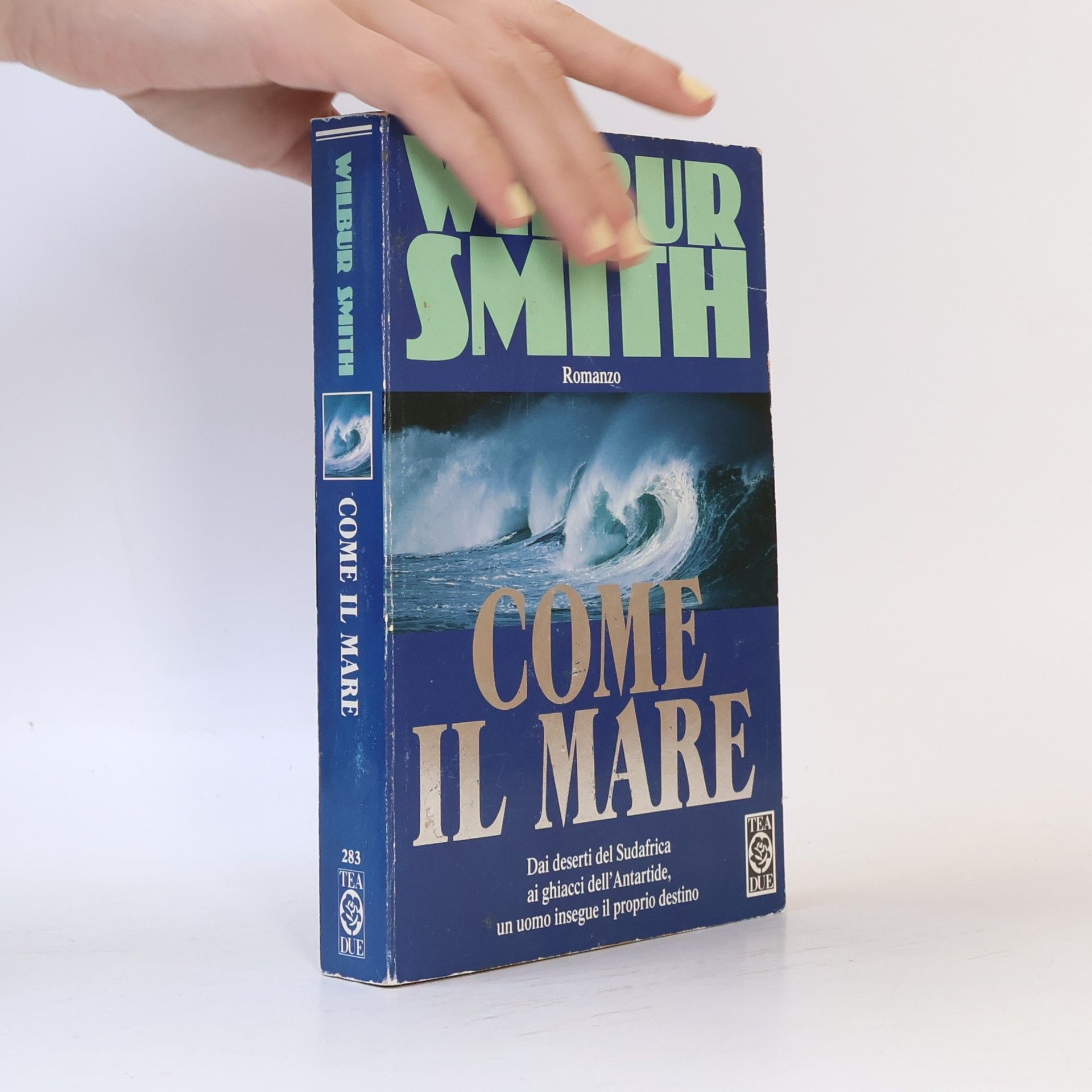 Wilbur A. Smith Come il Mare