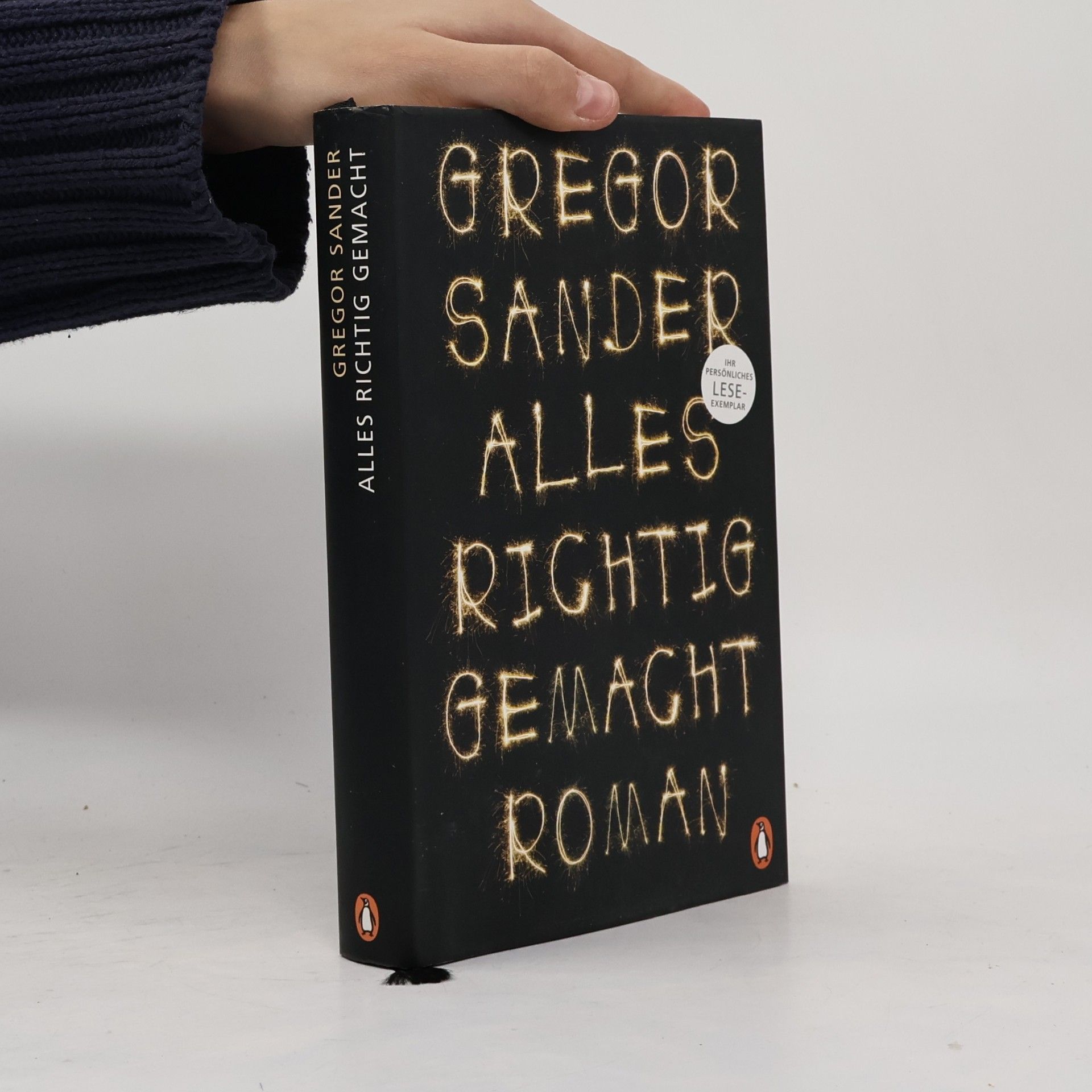 Gregor Sander Alles richtig gemacht