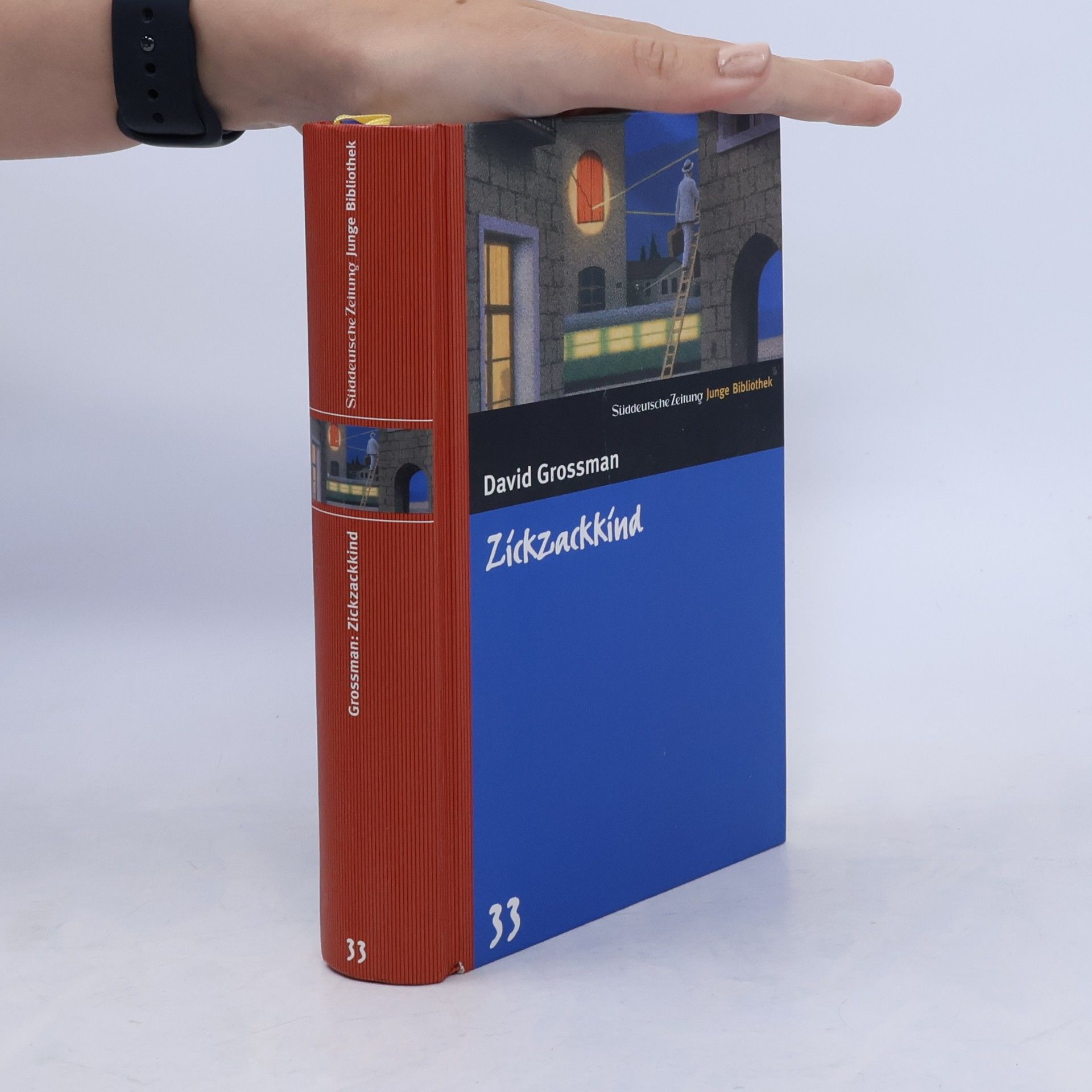 David Grossman Zickzackkind