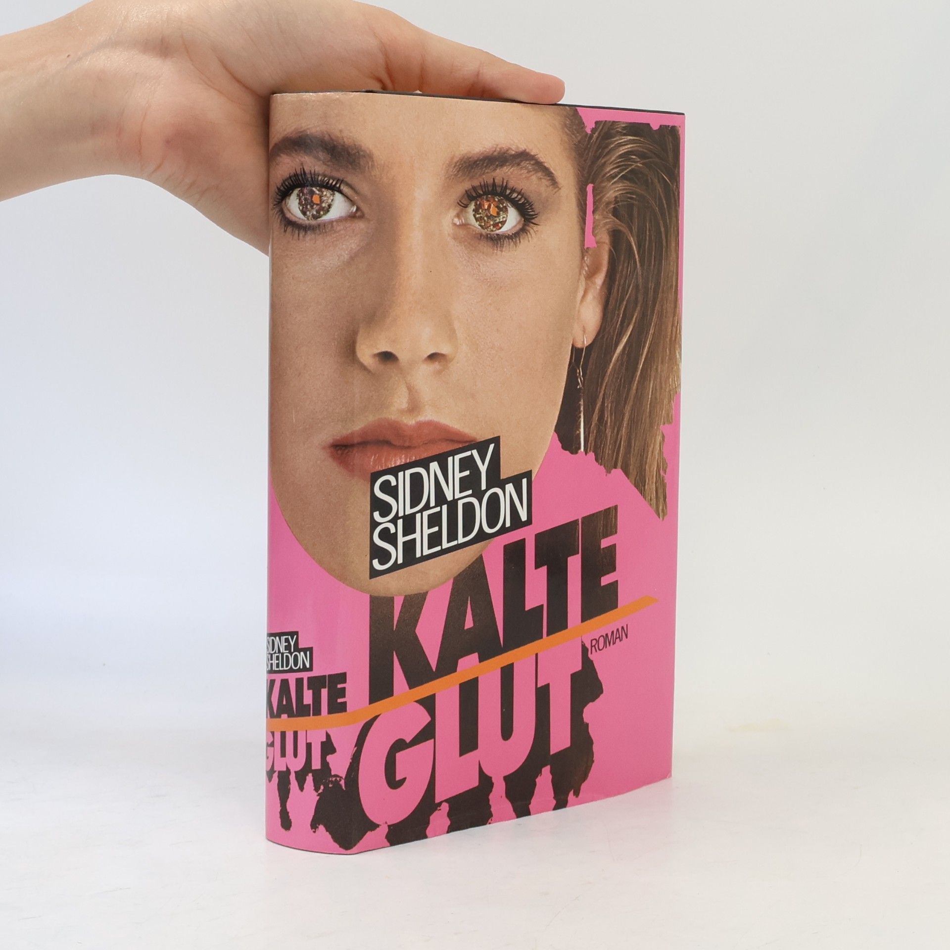 Sidney Sheldon Kalte Glut