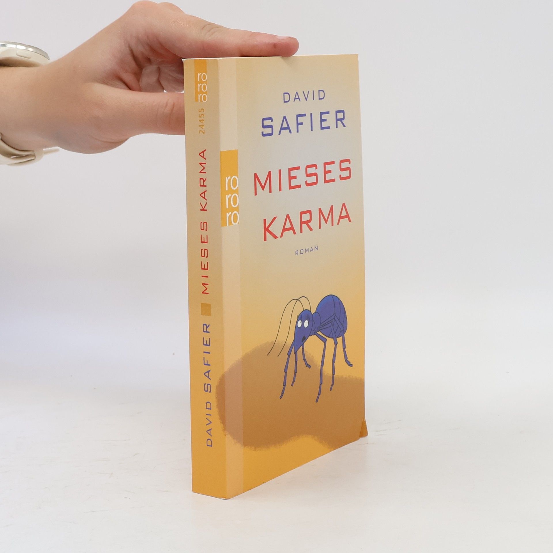 David Safier Mieses Karma