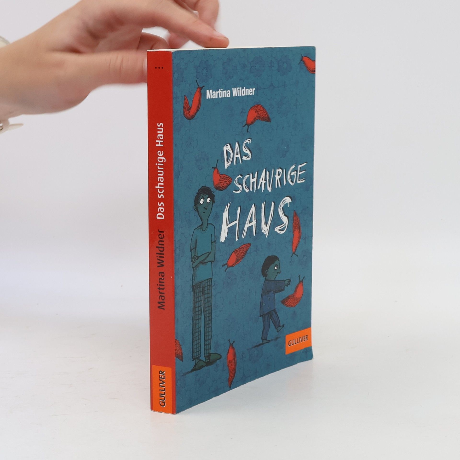 Martina Wildner Das schaurige Haus