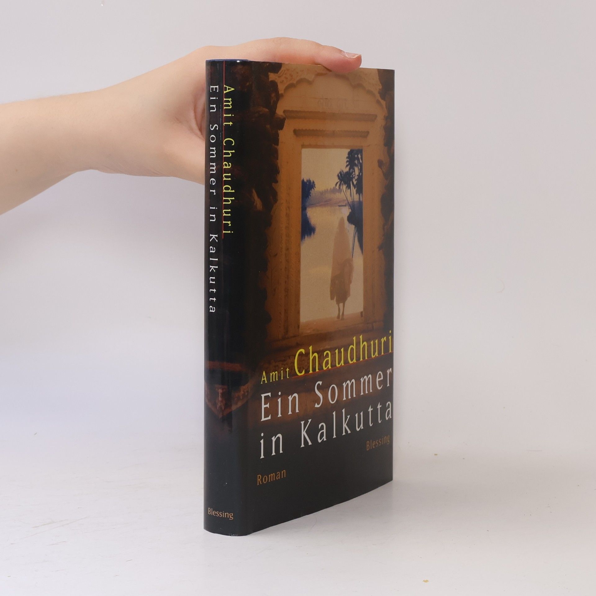 Amit Chaudhuri Ein Sommer in Kalkutta
