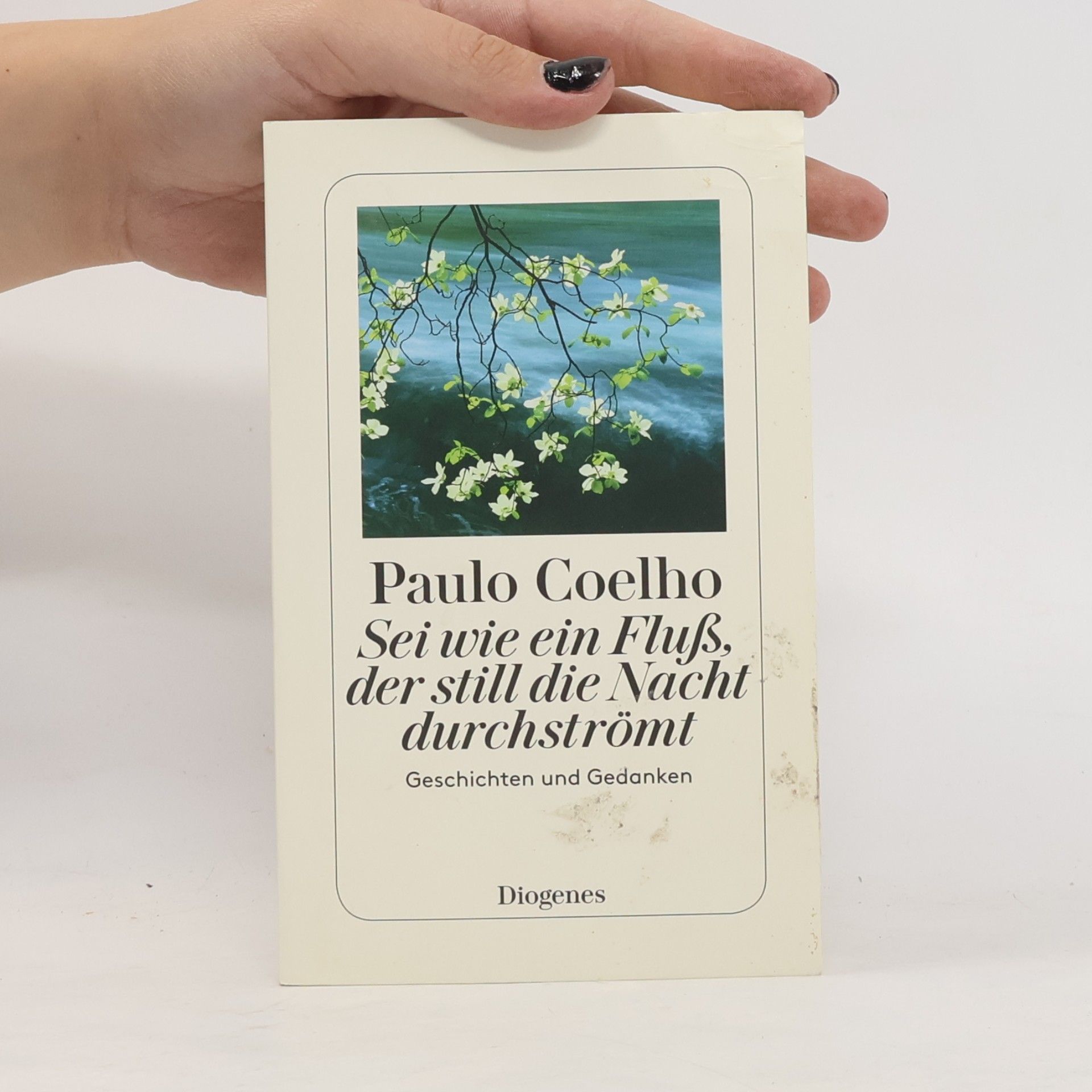 Paulo Coelho Sei wie ein Fluß, der still die Nacht durchströmt