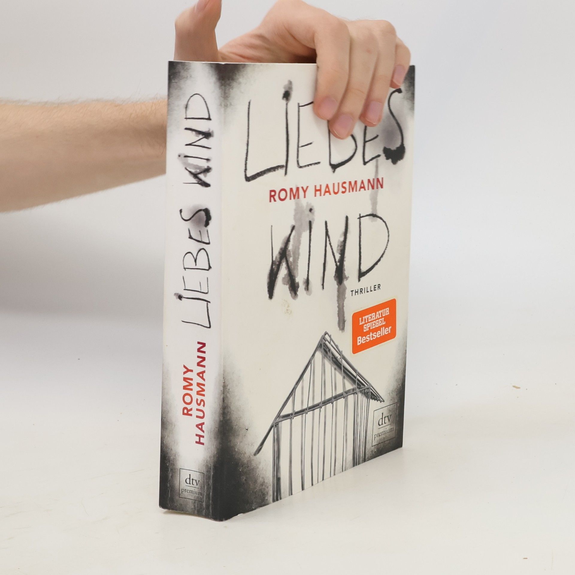 Romy Hausmann Liebes Kind