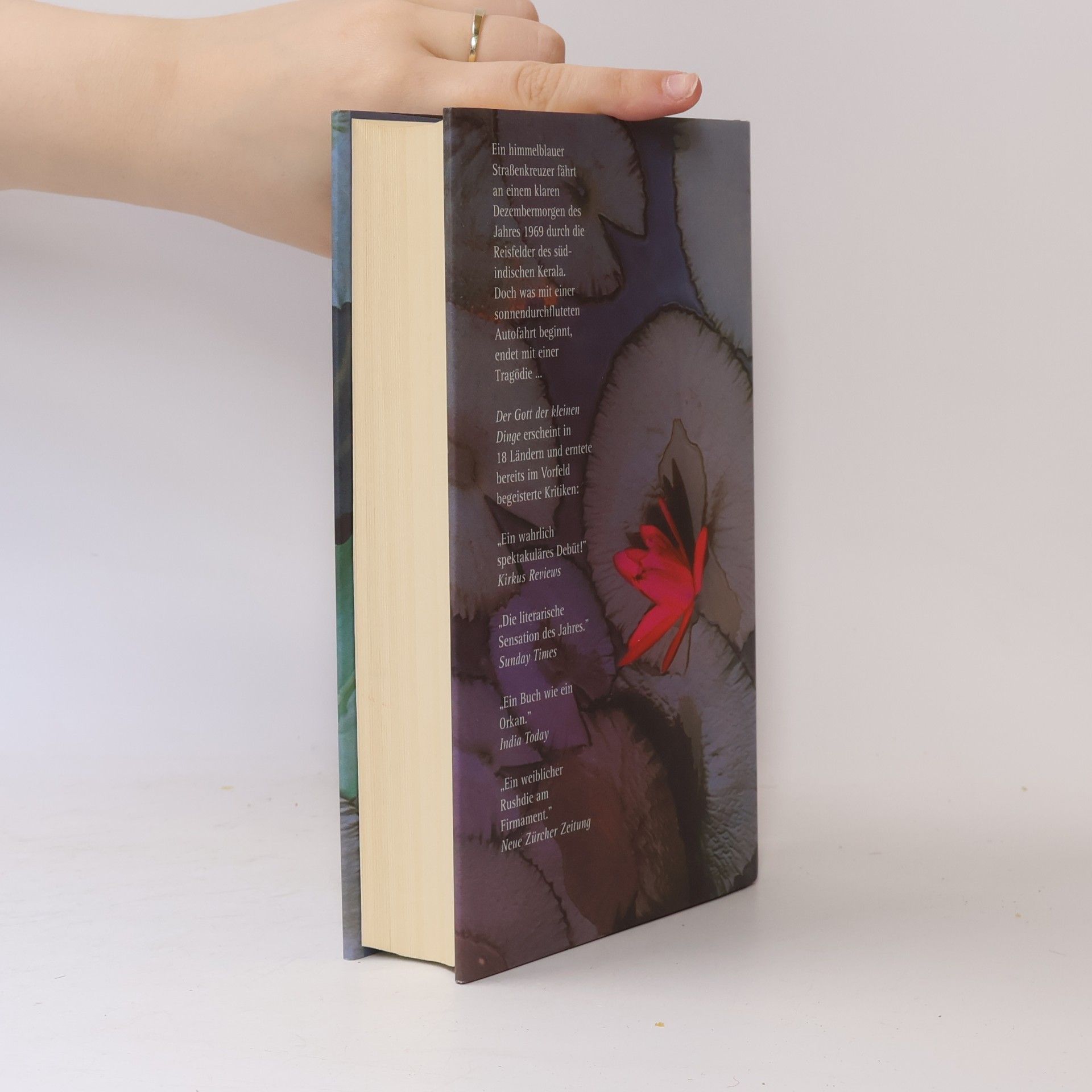 Arundhati Roy Der Gott der Kleinen Dinge