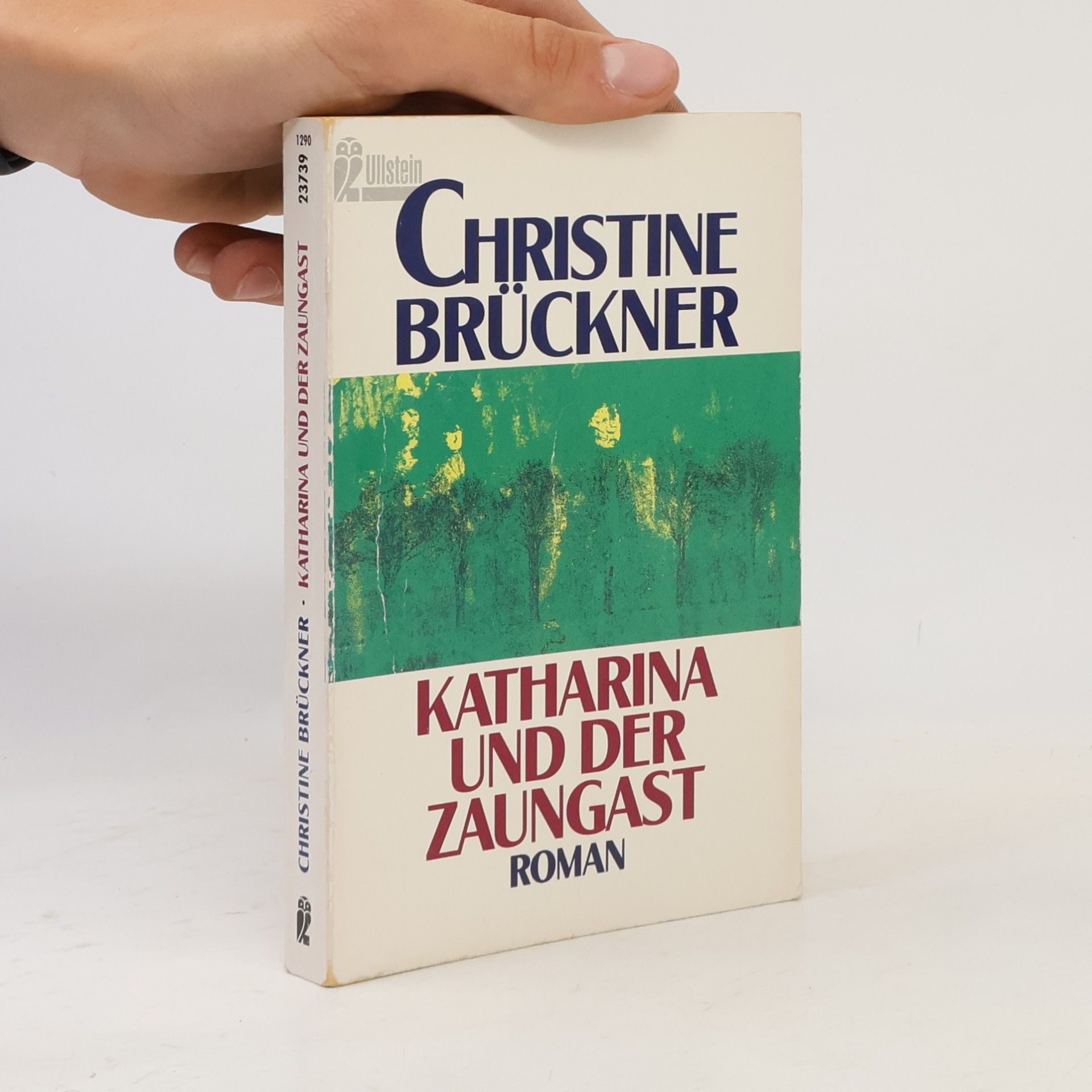 Christine Brückner Katharina und der Zaungast