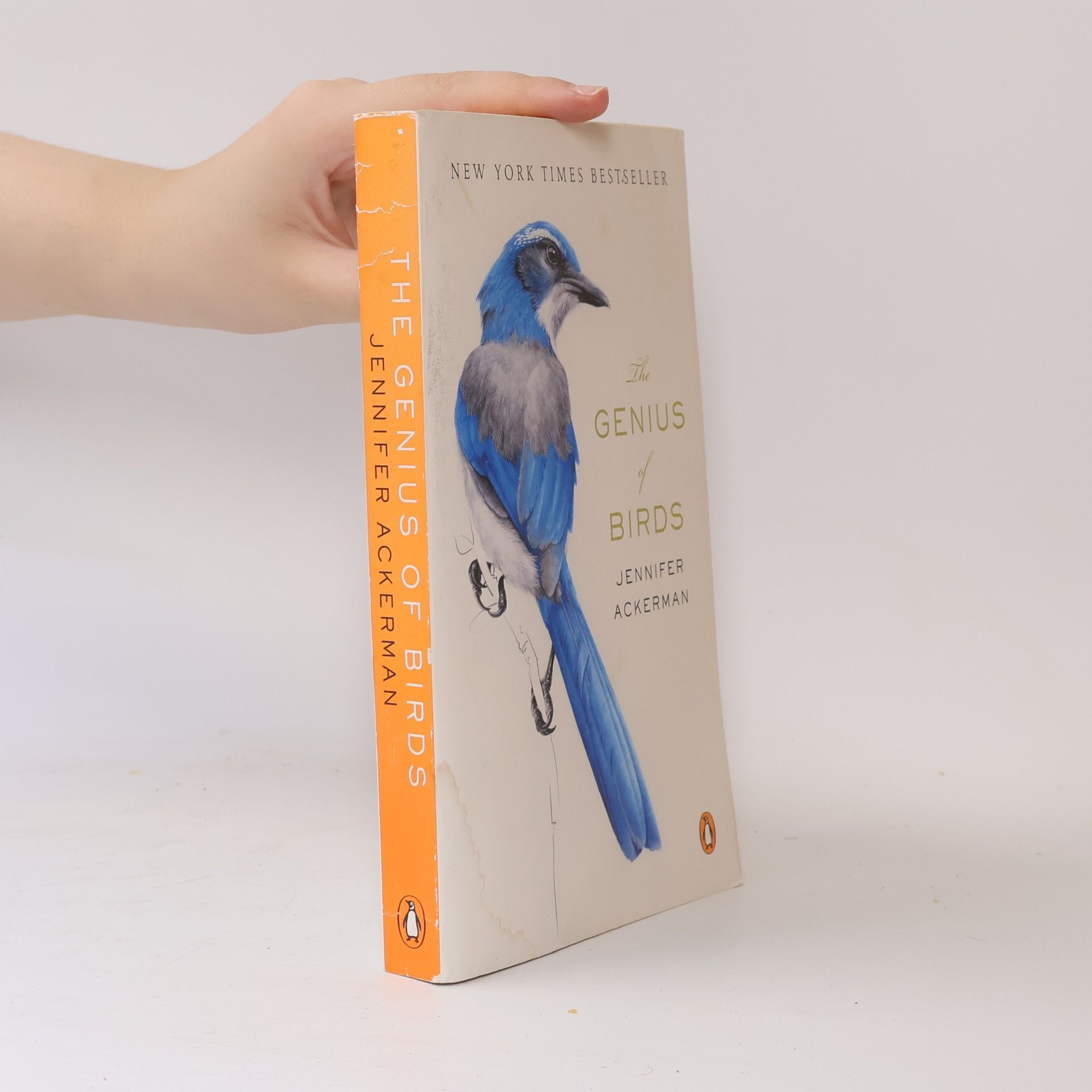 Jennifer Ackerman The Genius of Birds