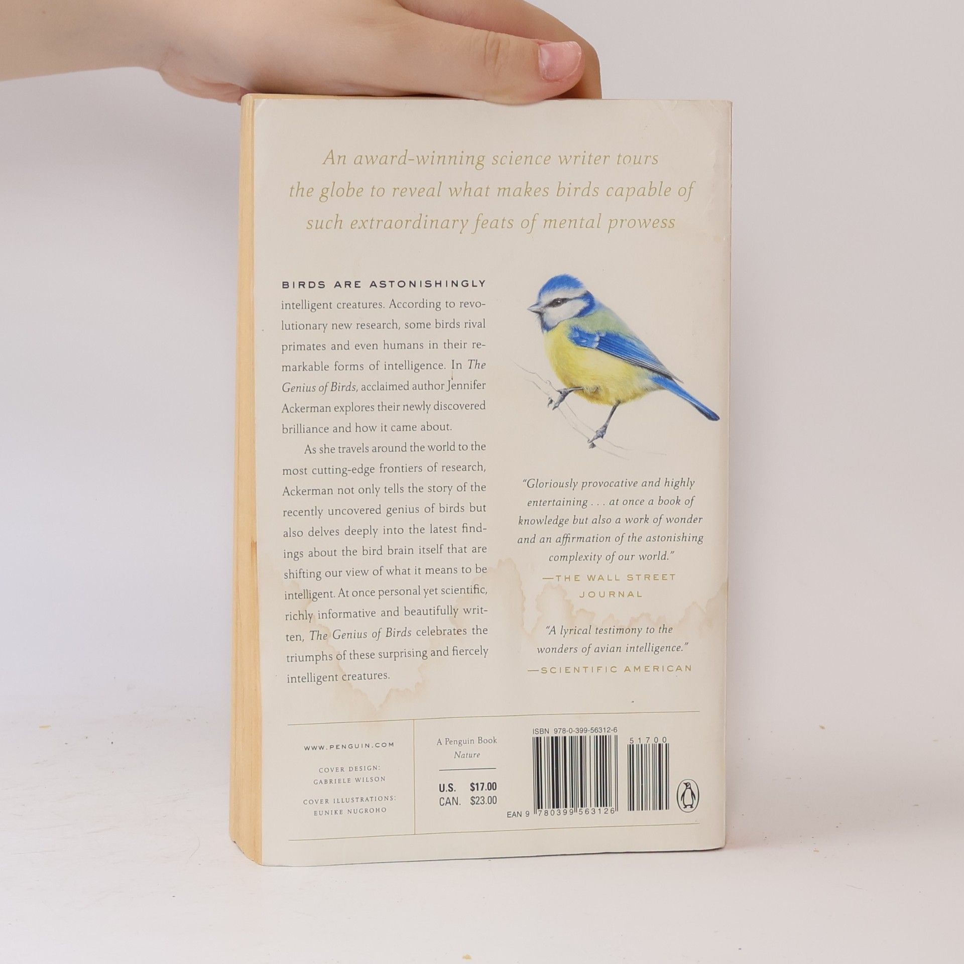 Jennifer Ackerman The Genius of Birds