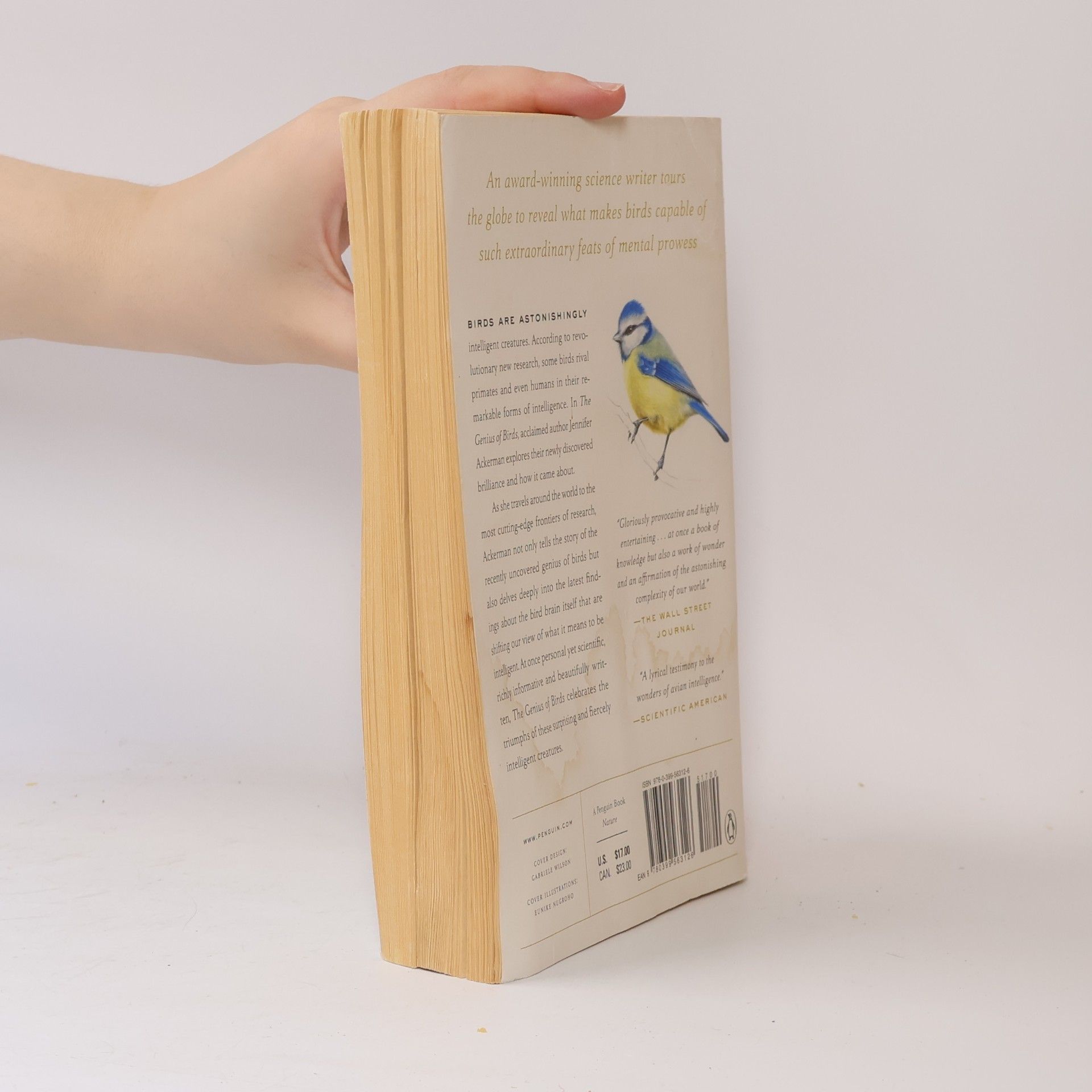 Jennifer Ackerman The Genius of Birds
