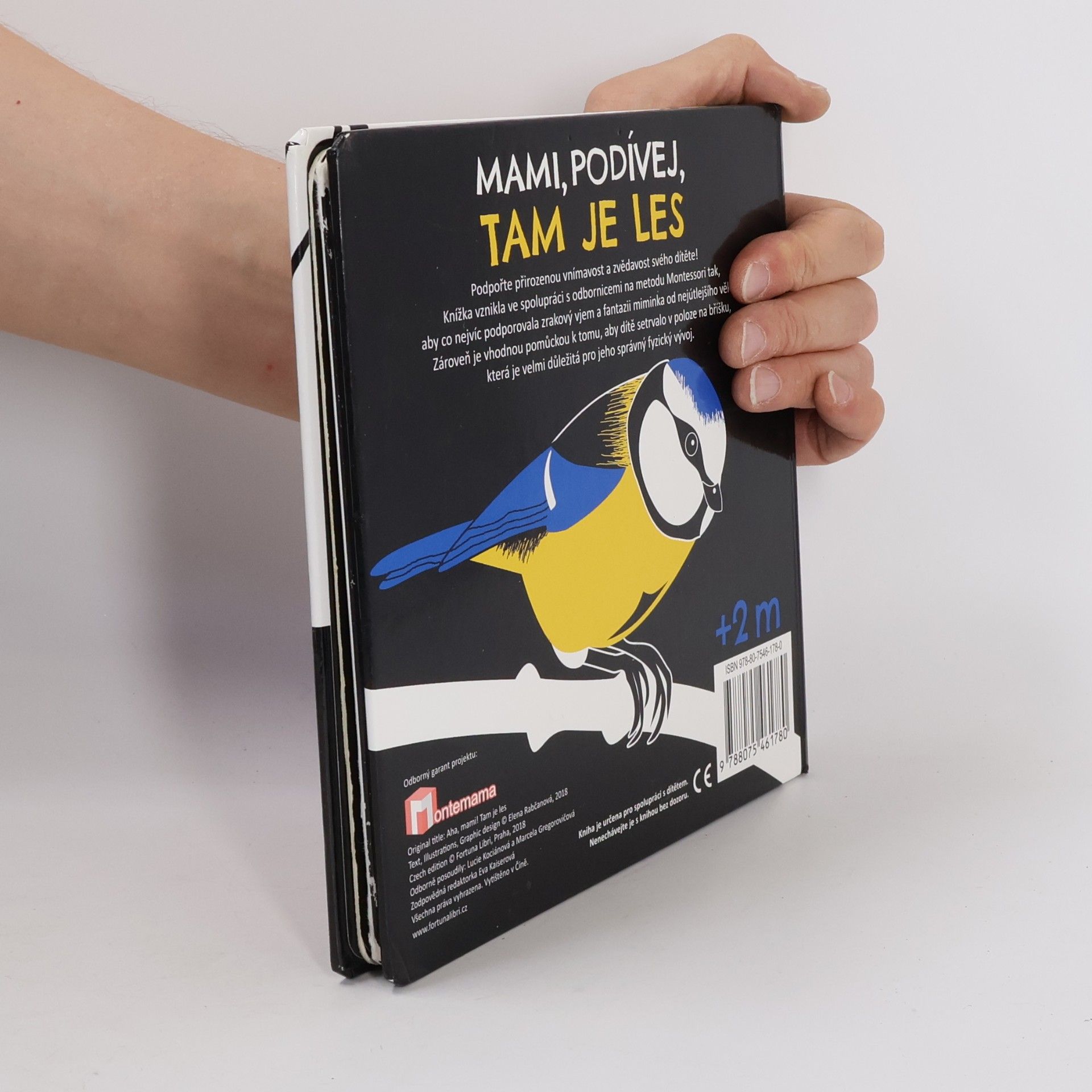 Elena Rabčanová Mami, podívej, tam je les