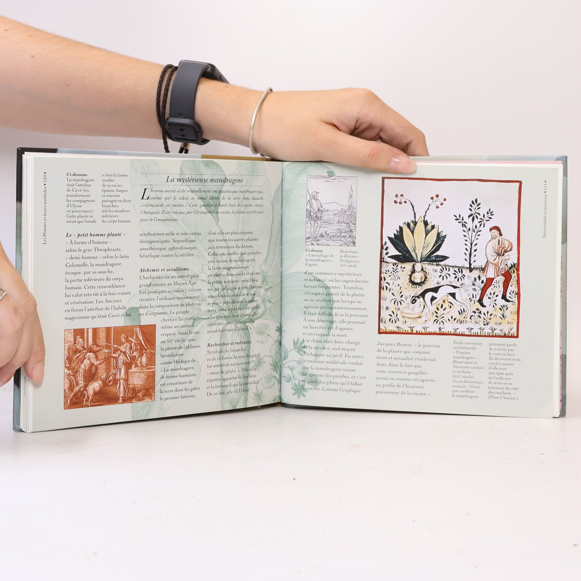 Anne Dumas Les Plantes et leurs Symboles