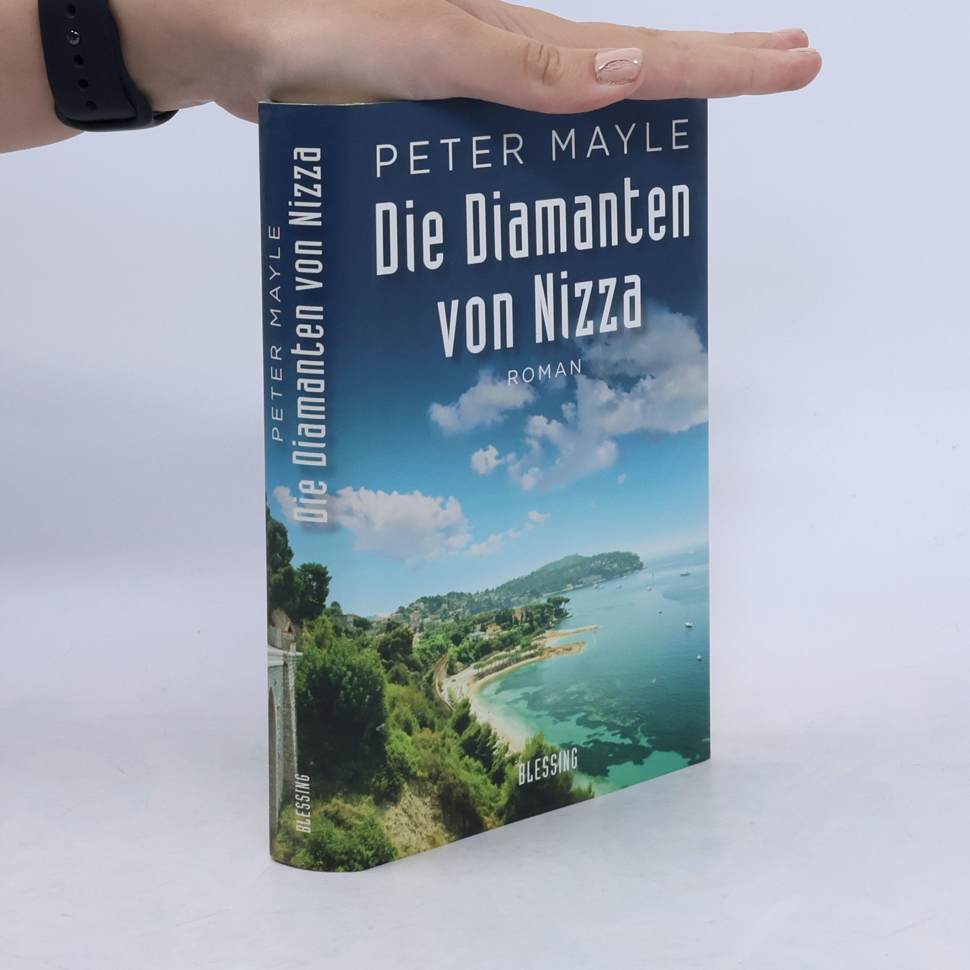 Peter Mayle Die Diamanten von Nizza