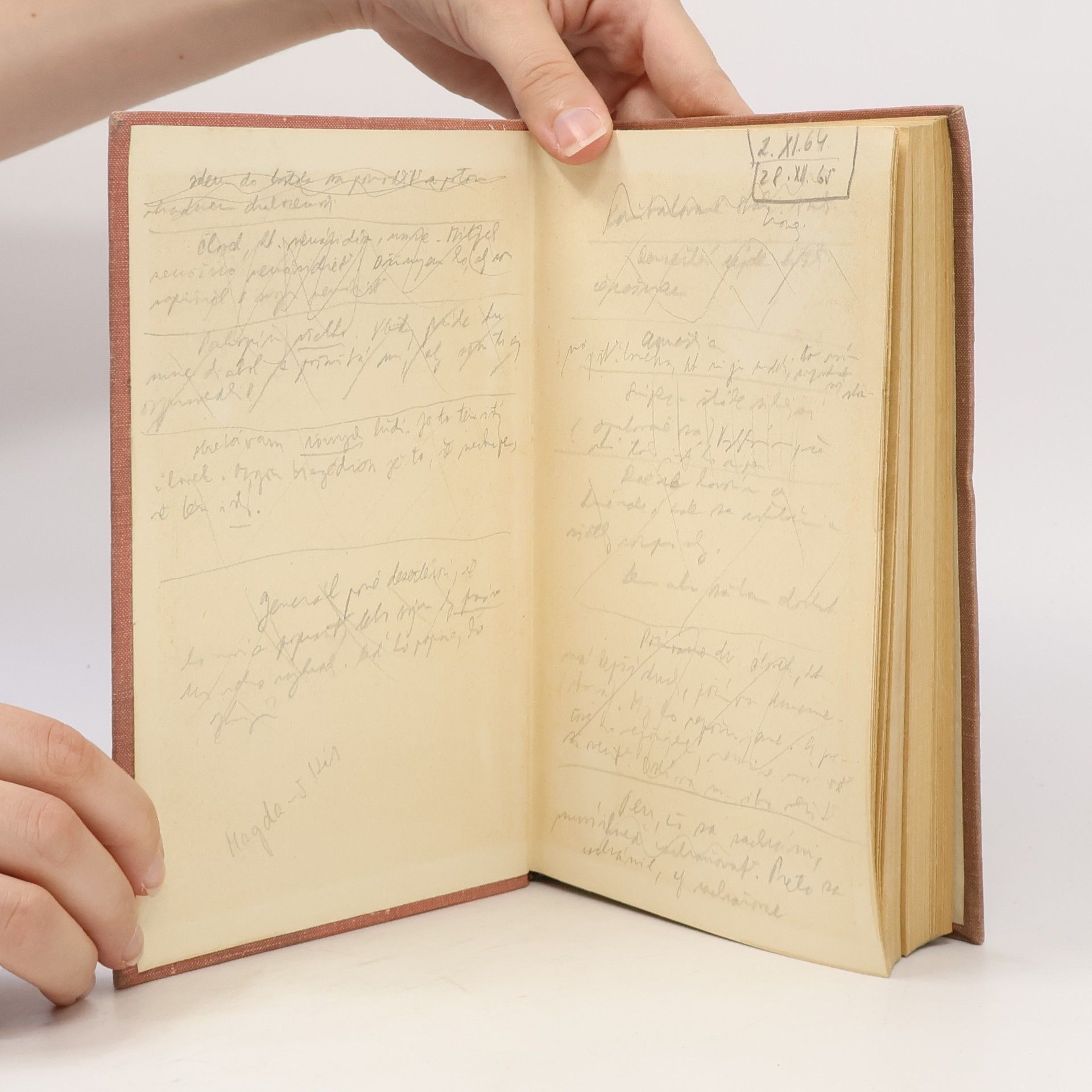 Gustave Flaubert Ľéducation sentimentale