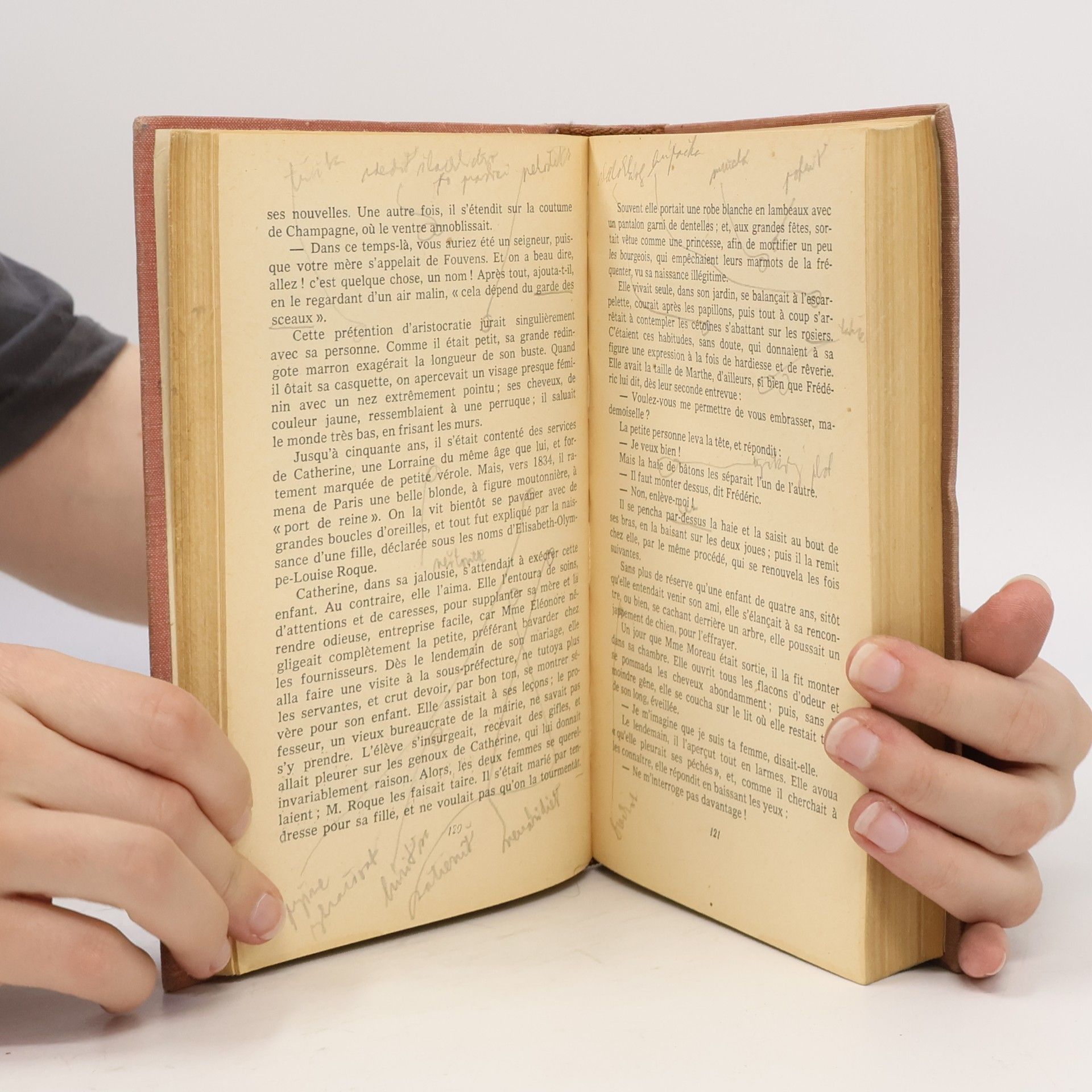 Gustave Flaubert Ľéducation sentimentale