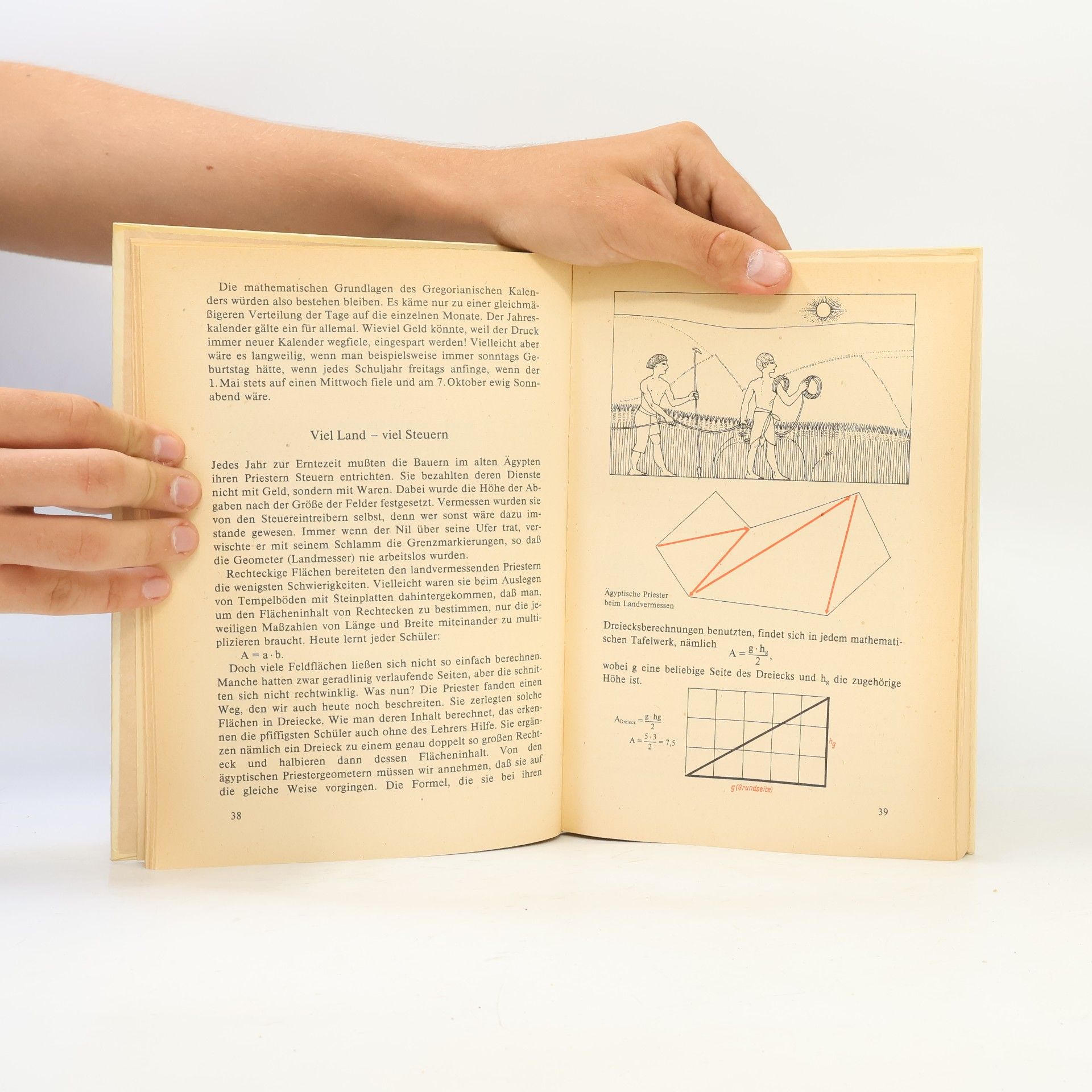 Wolfgang Freitag Kleine Geschichte der Mathematik