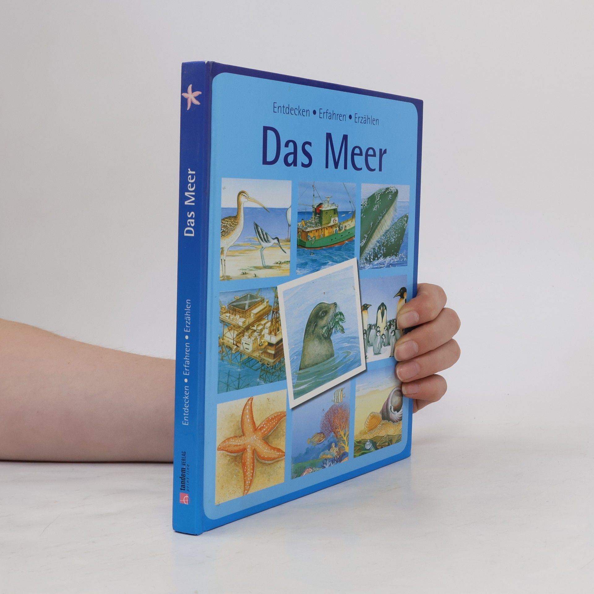 Kolektiv autorů Das Meer