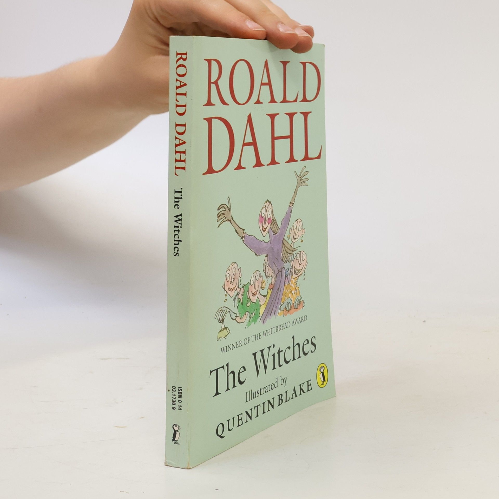 Roald Dahl The Witches