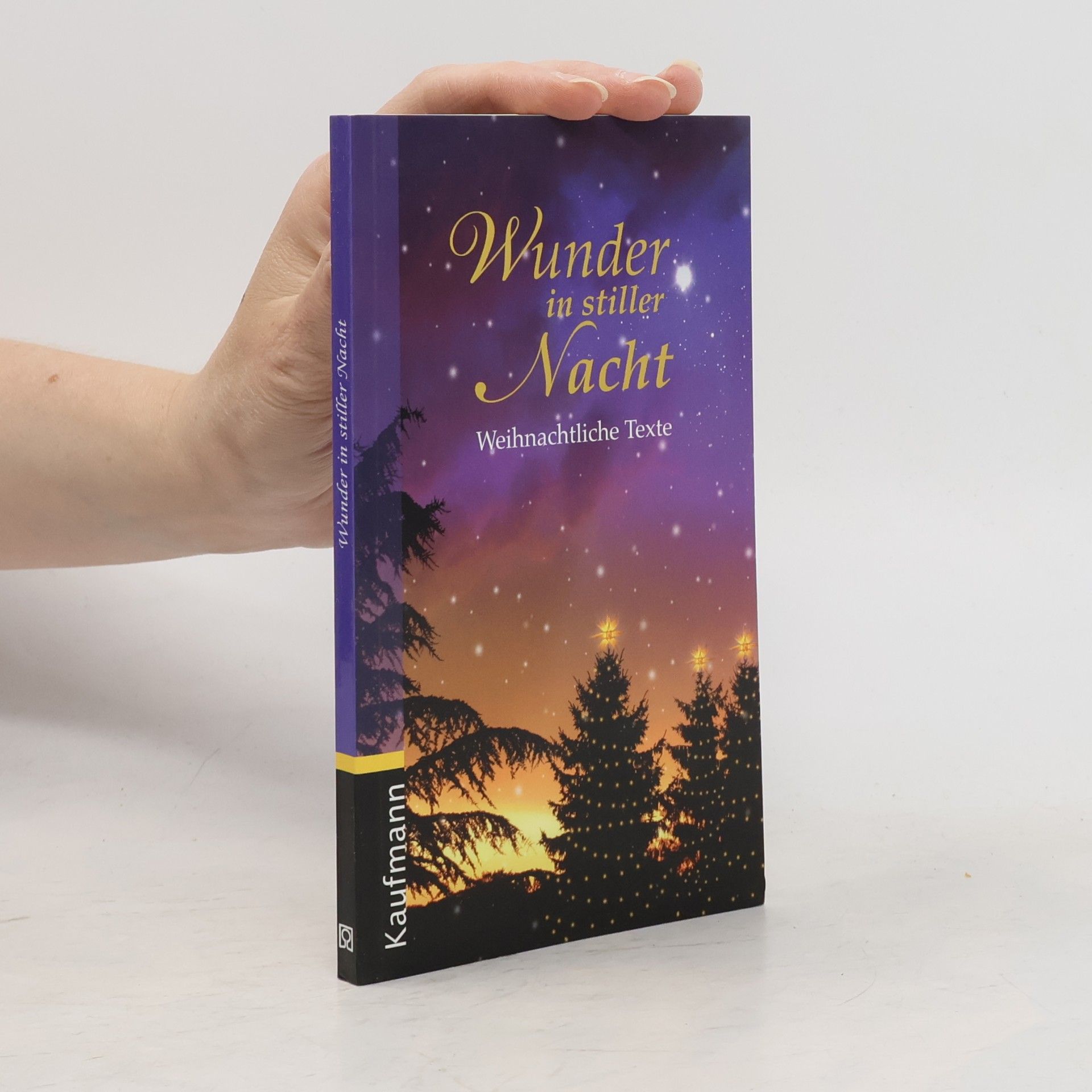 Petra Kummermehr Wunder in stiller Nacht