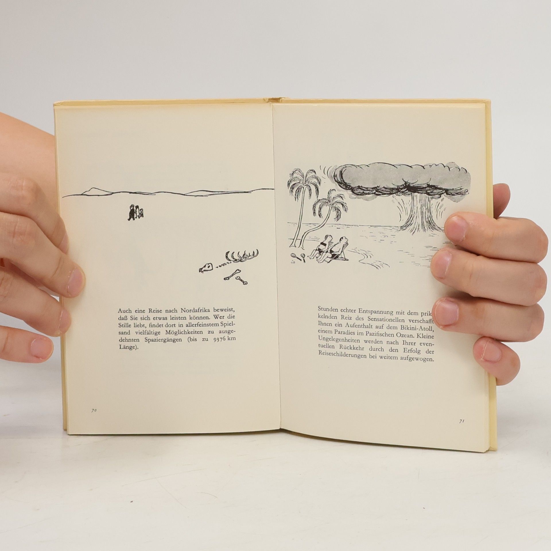 Noëlle Loriot Der Weg zum Erfolg