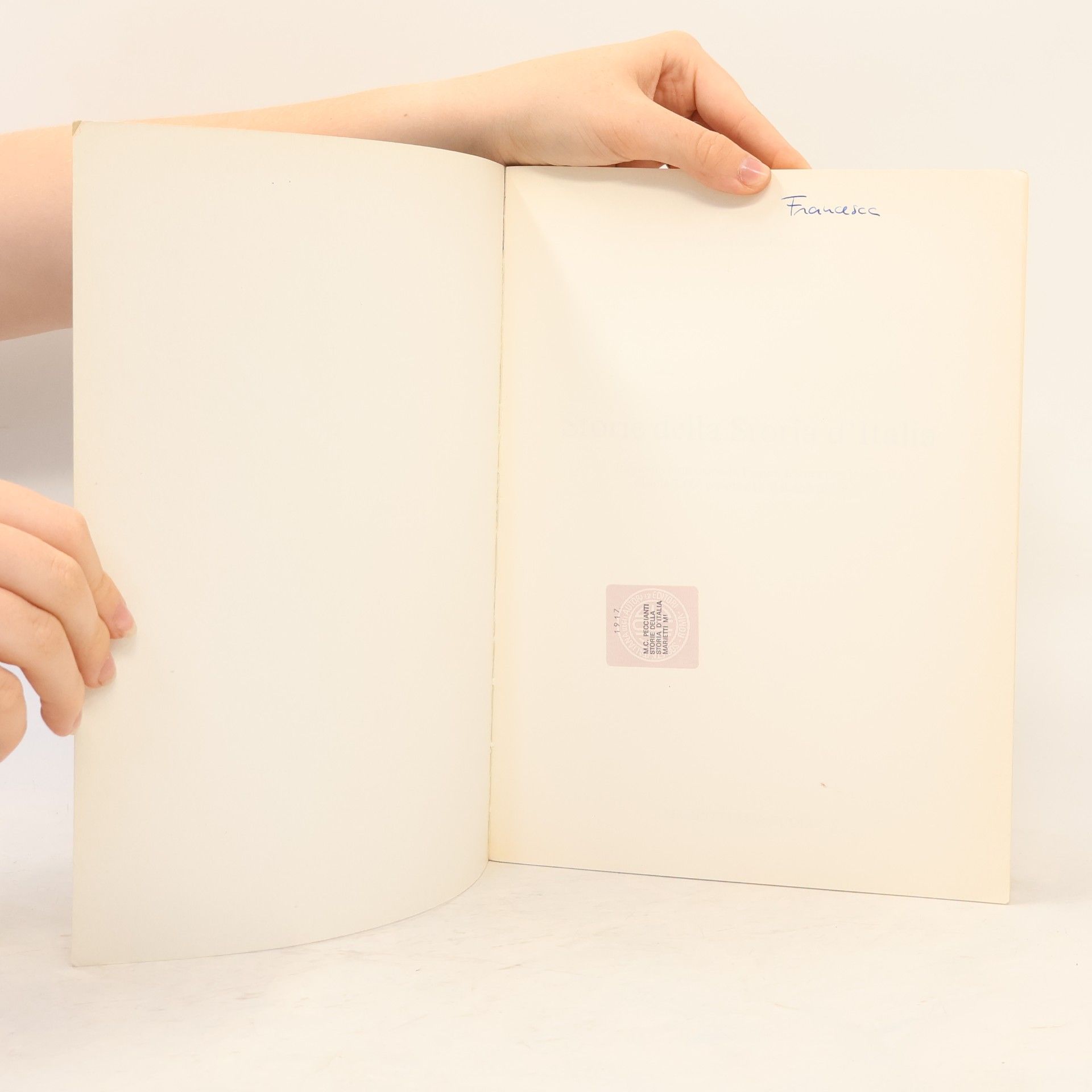 Maria Cristina Peccianti Leggere l'Italia: Storie della storia d'Italia