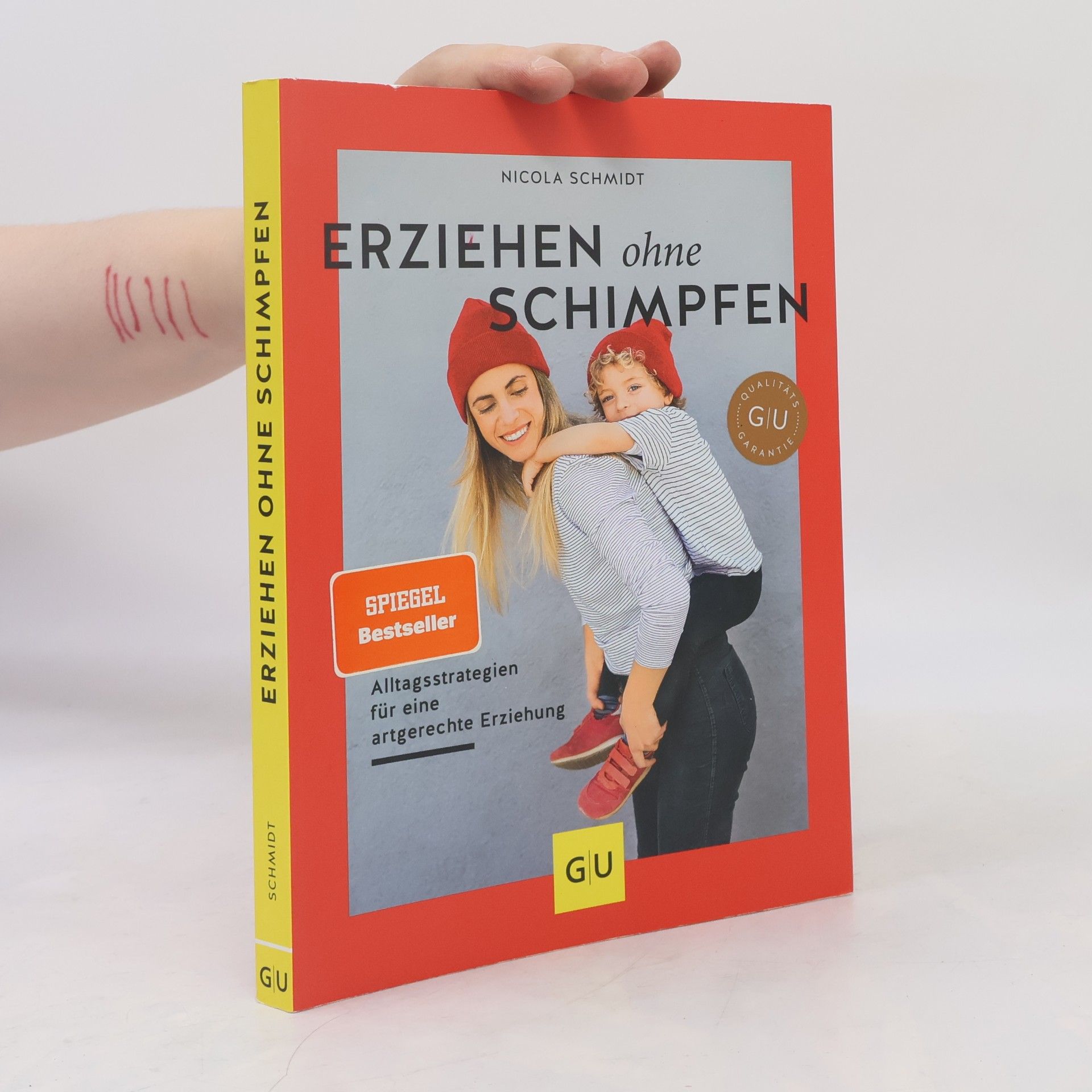 Nicola Schmidt Erziehen ohne Schimpfen