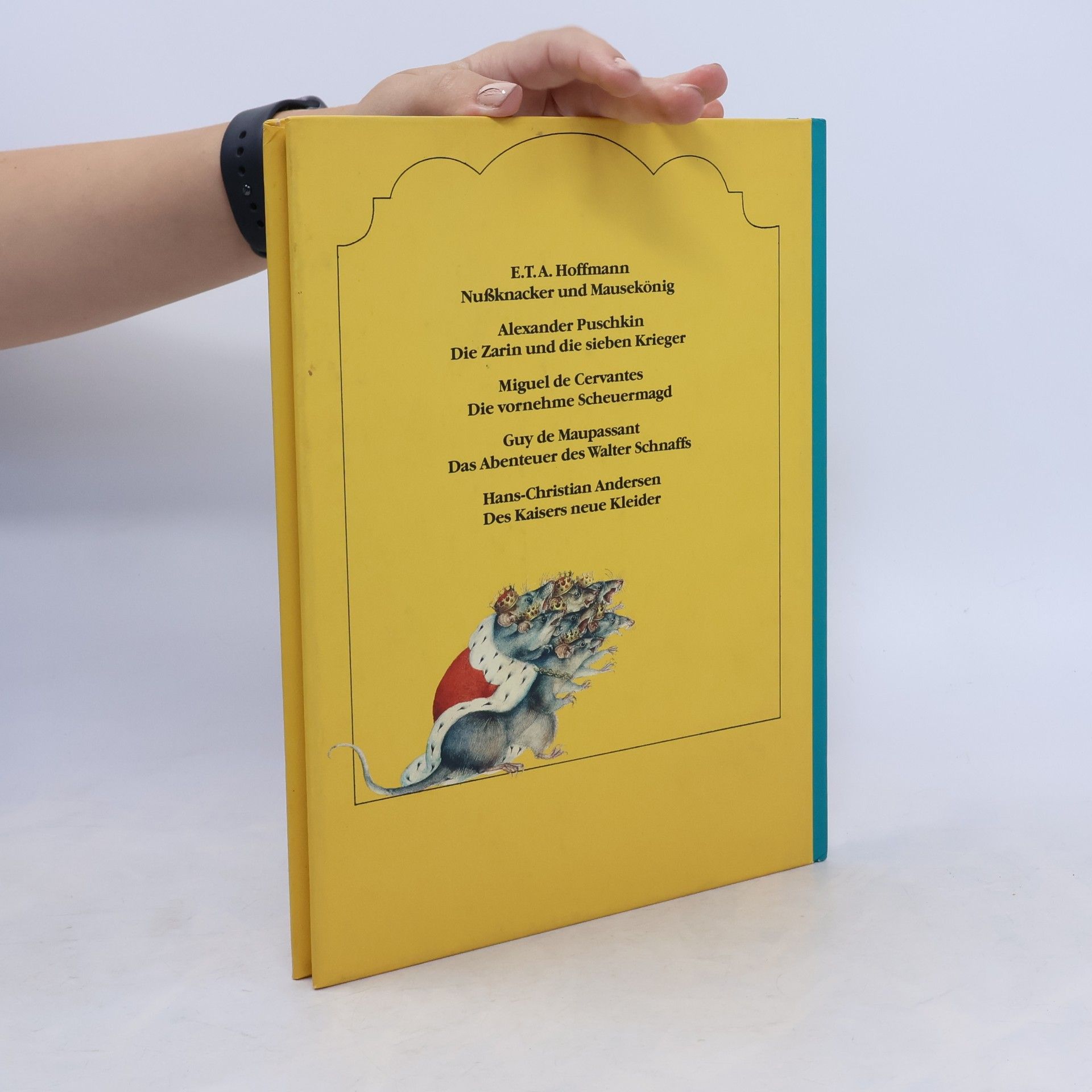 Heike Mück Nussknacker und Mausekönig und andere Geschichten der Weltliteratur