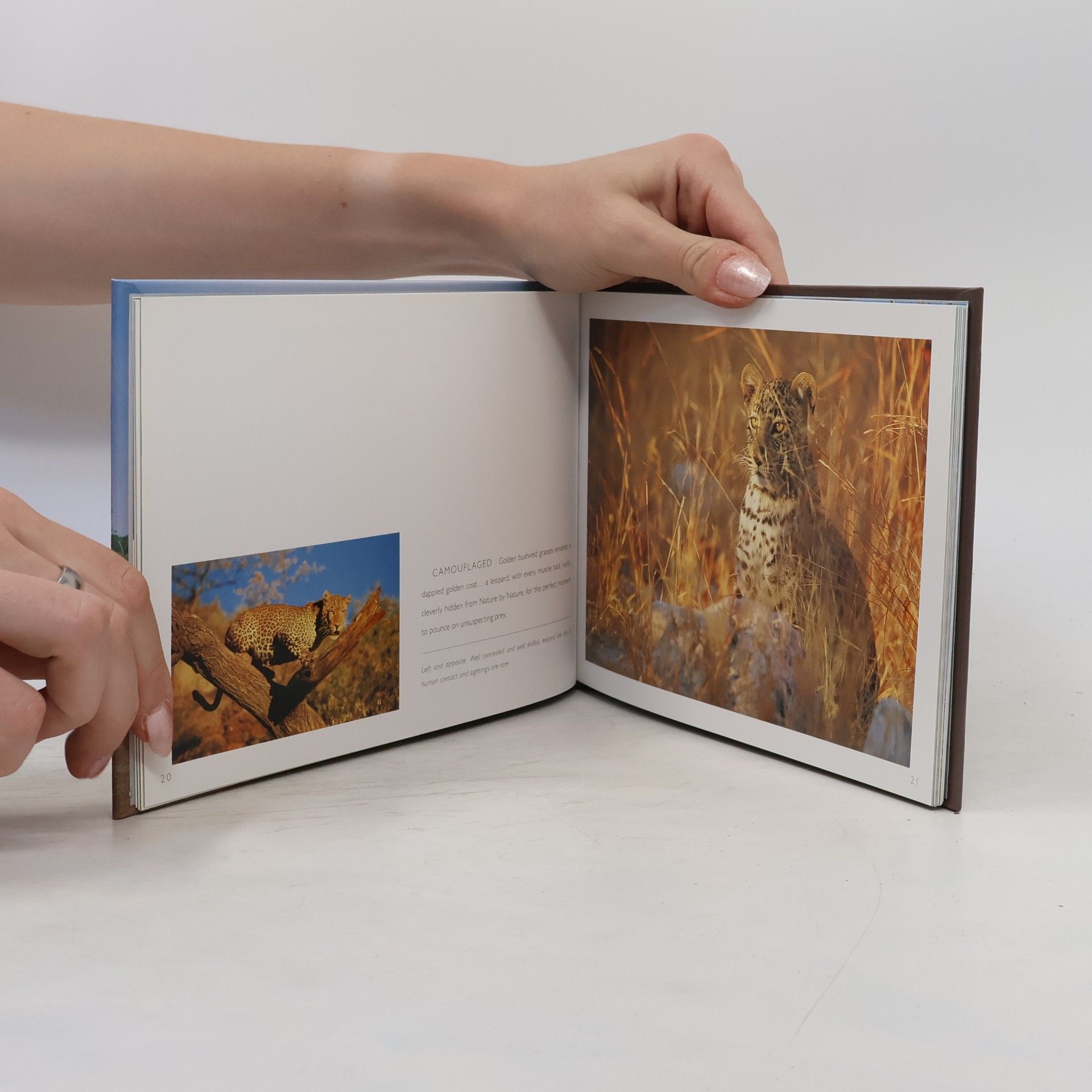 Peter Chadwick Wildlife and Untamed Beauty