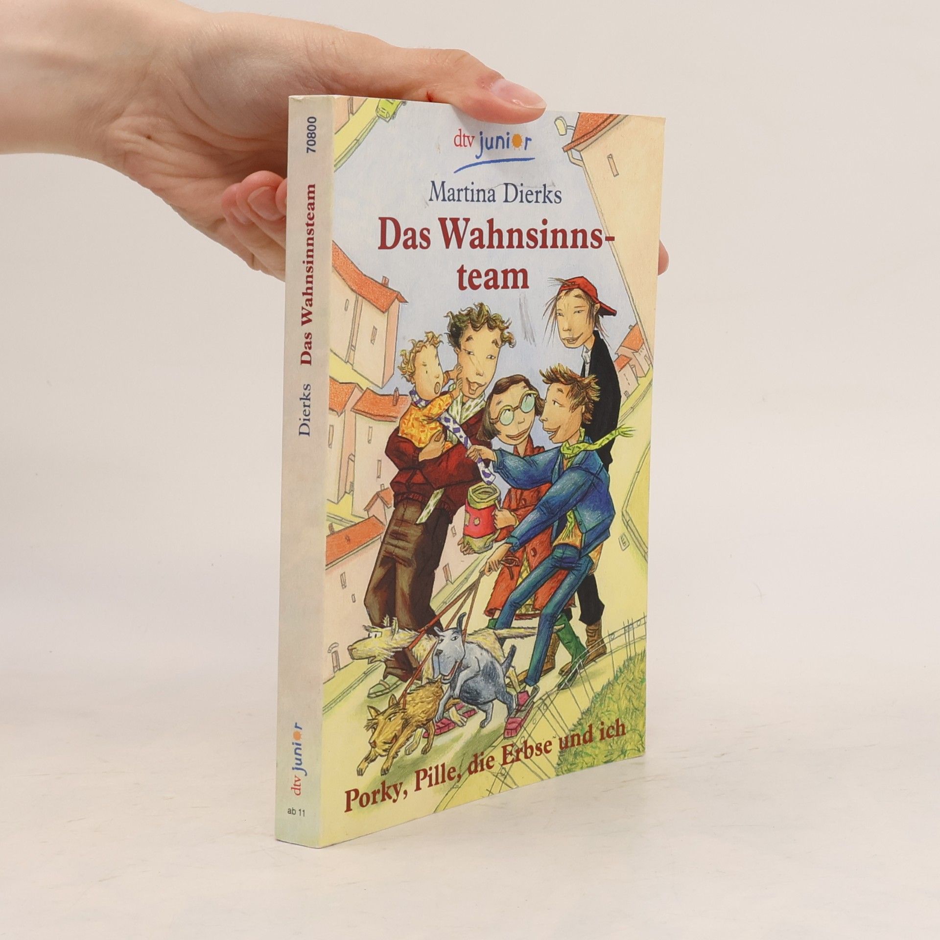 Das Wahnsinnsteam